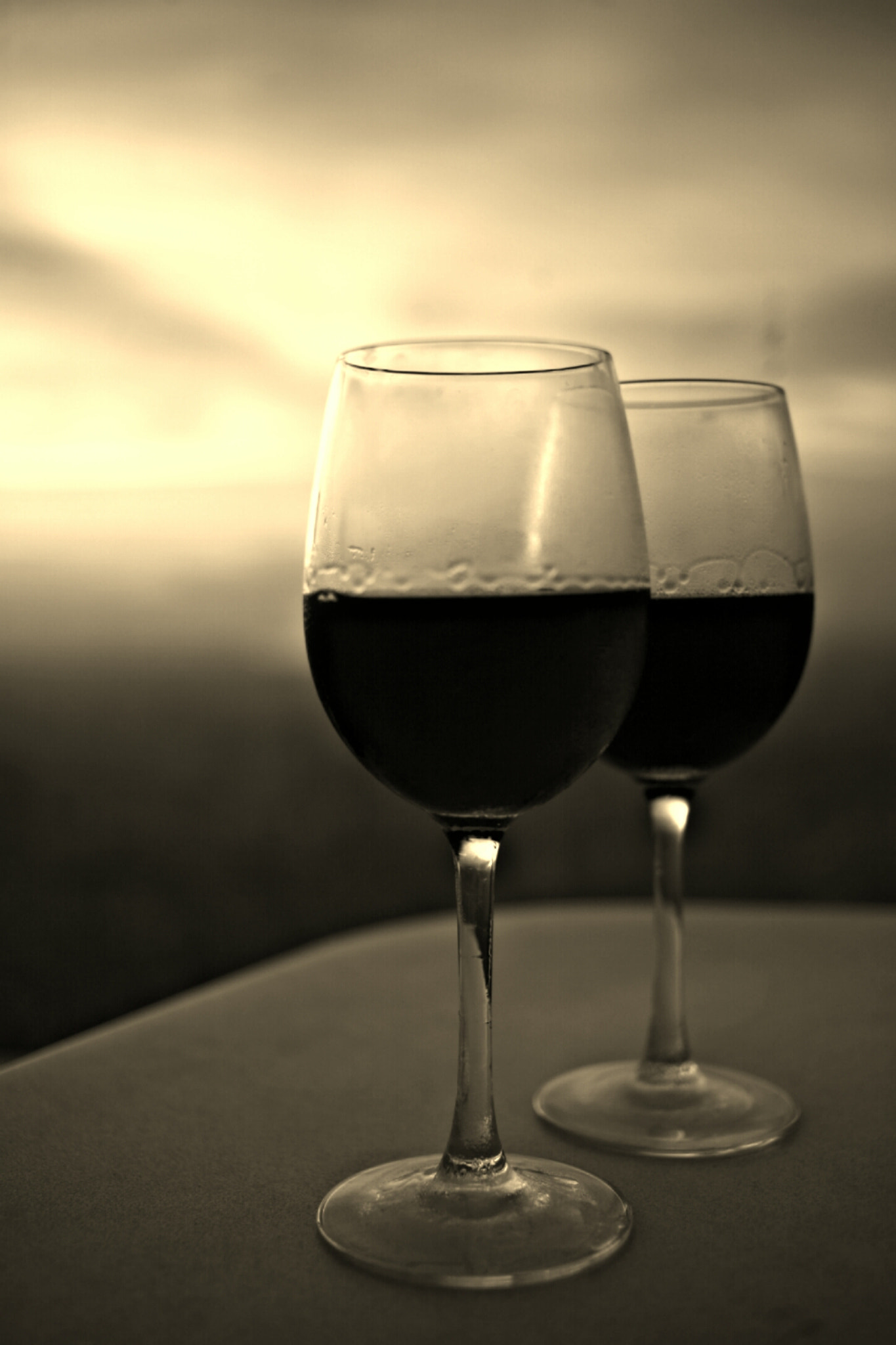 Canon EOS 5D + Canon EF 40mm F2.8 STM sample photo. Sepia wine photography