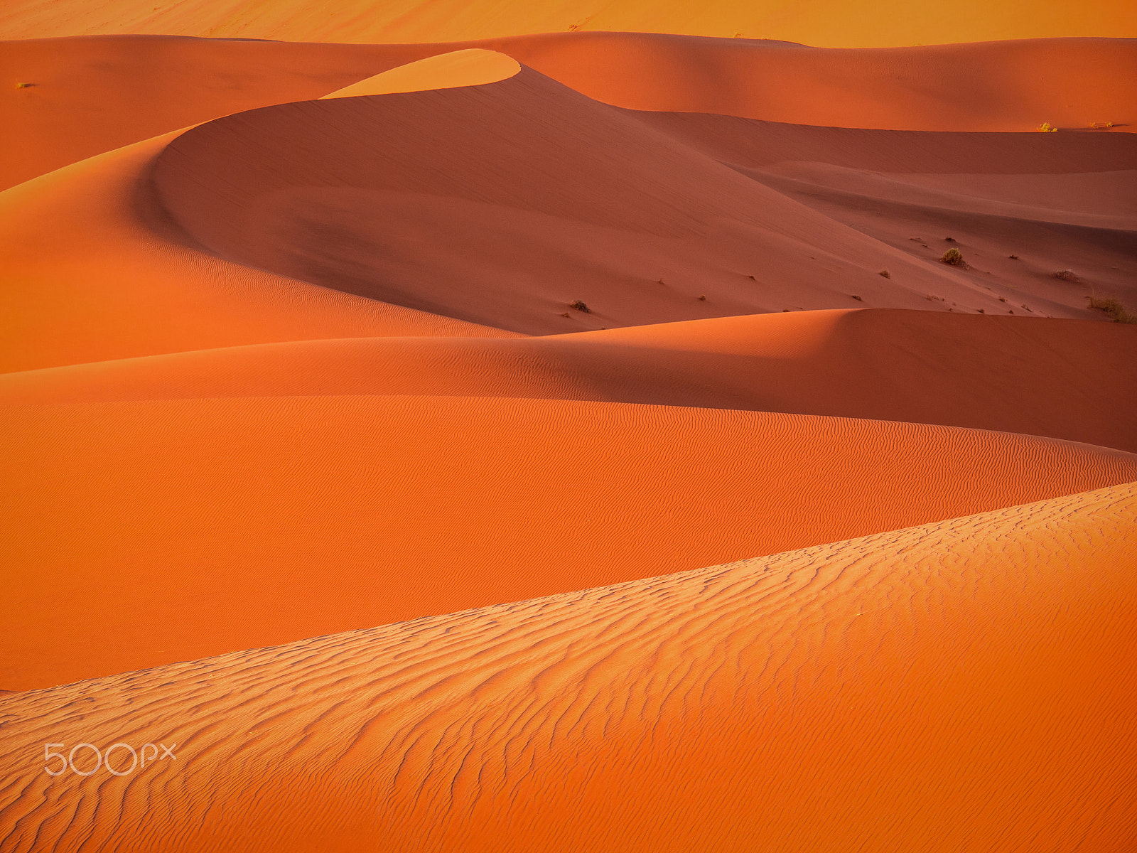 Panasonic Lumix DMC-G5 sample photo. Dunes photography