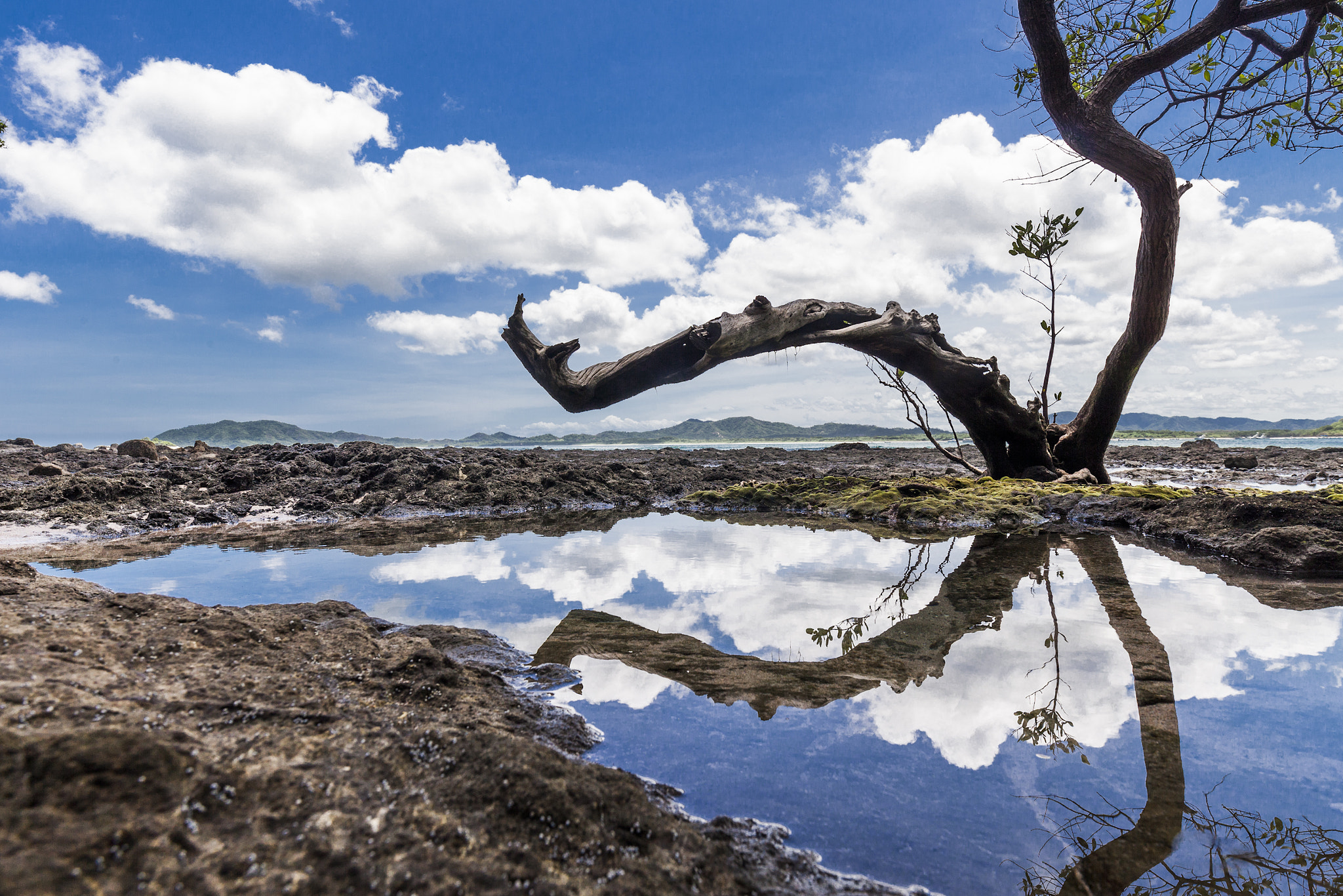 Sigma 20mm F1.4 DG HSM Art sample photo. Beautiful nature. photography