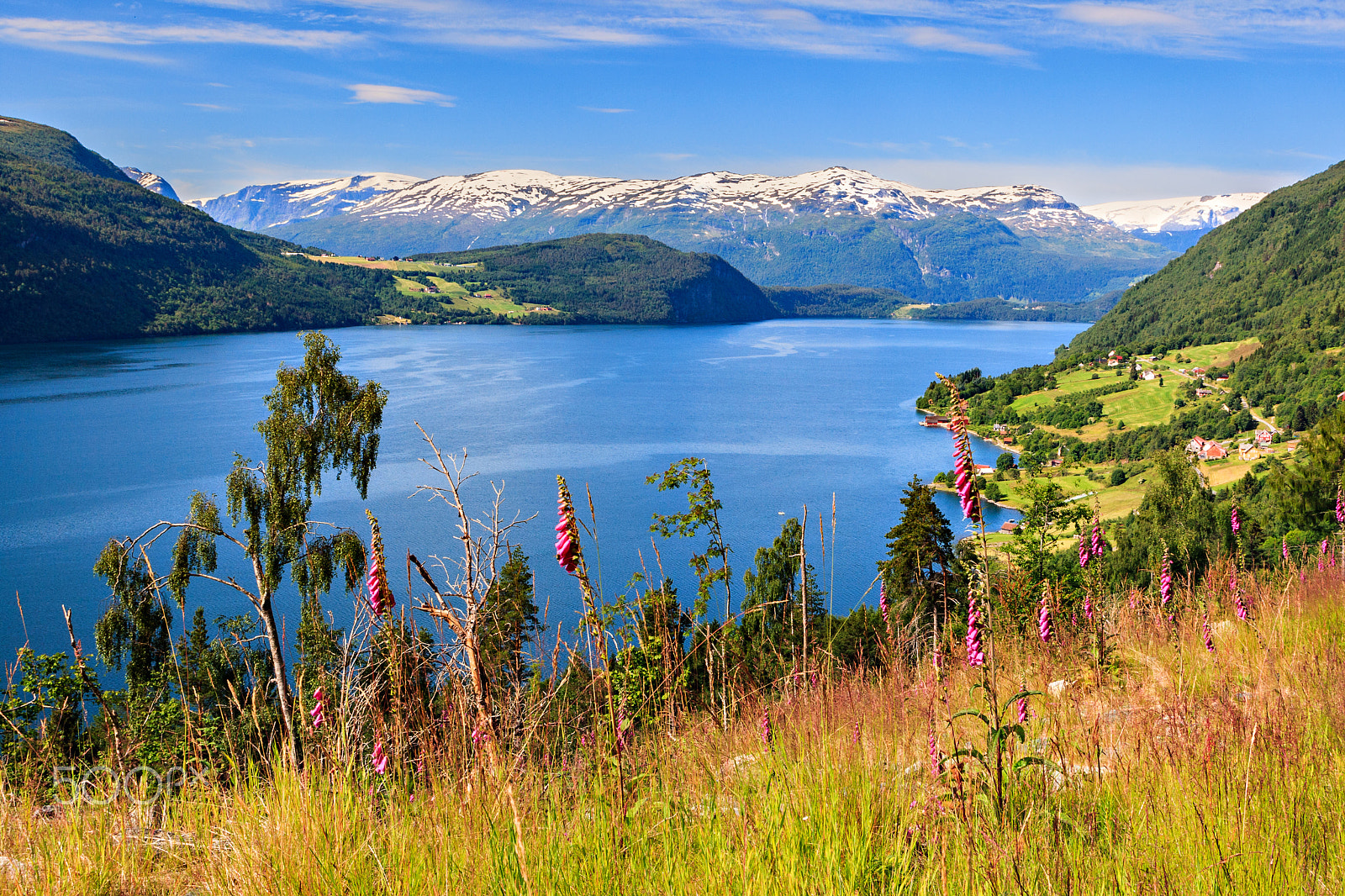Canon EOS-1D Mark III sample photo. Summer at innvikfjord photography