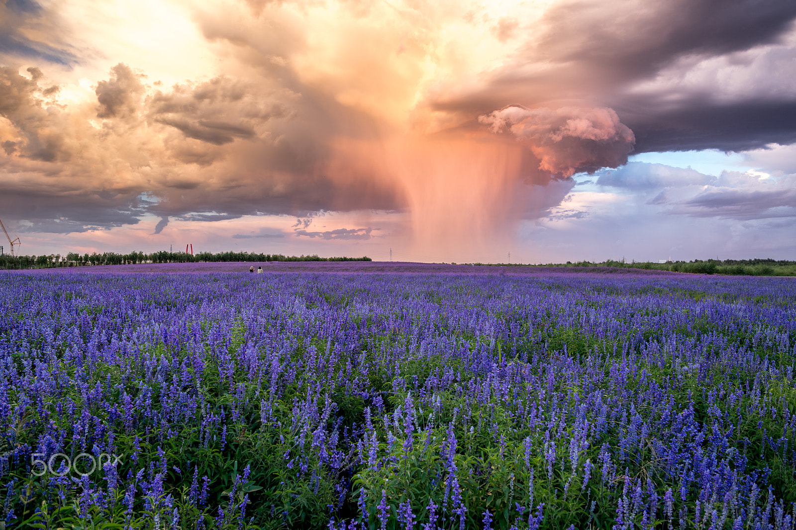Nikon Df sample photo. Storm coming photography