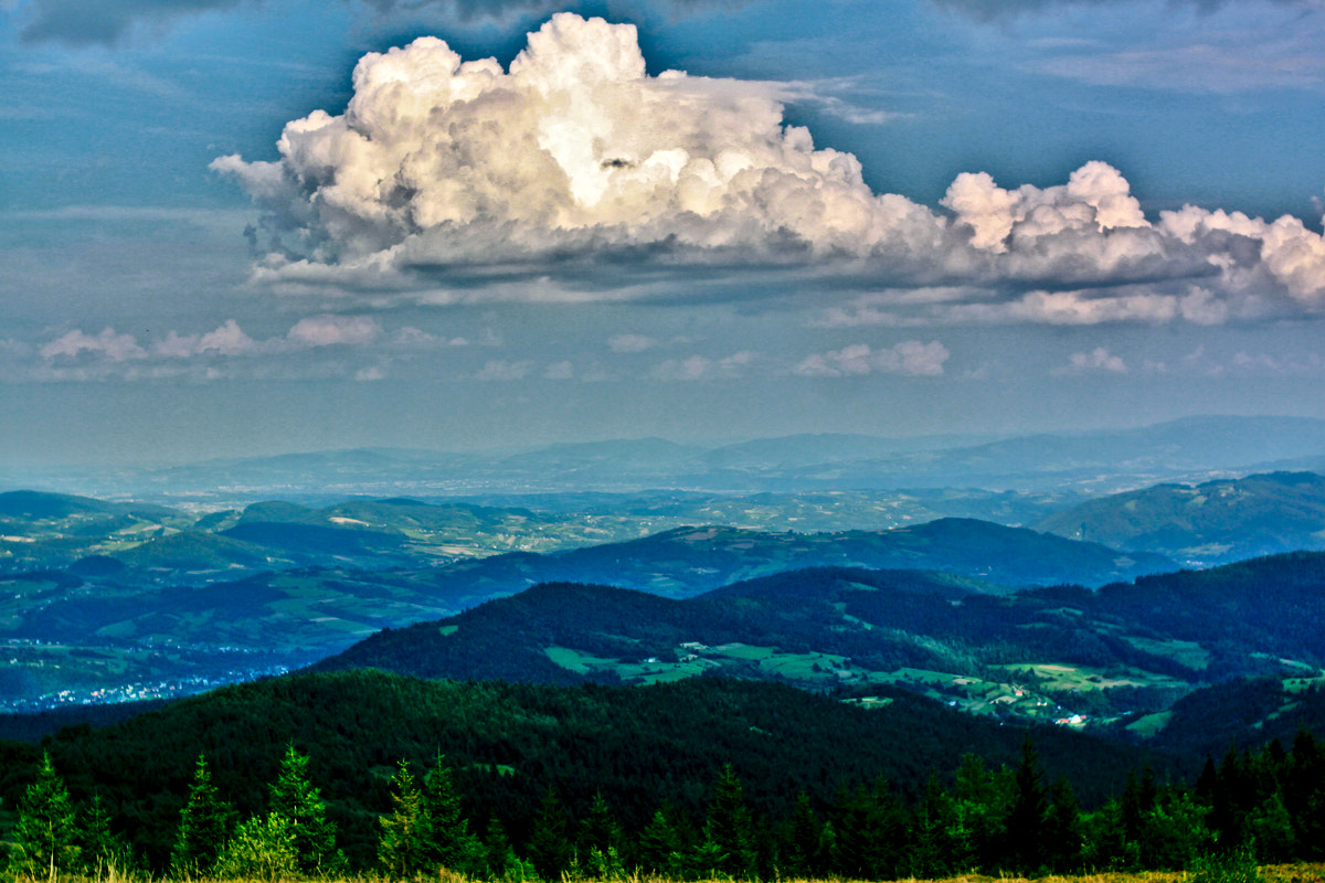 Canon EF 35-80mm f/4-5.6 sample photo