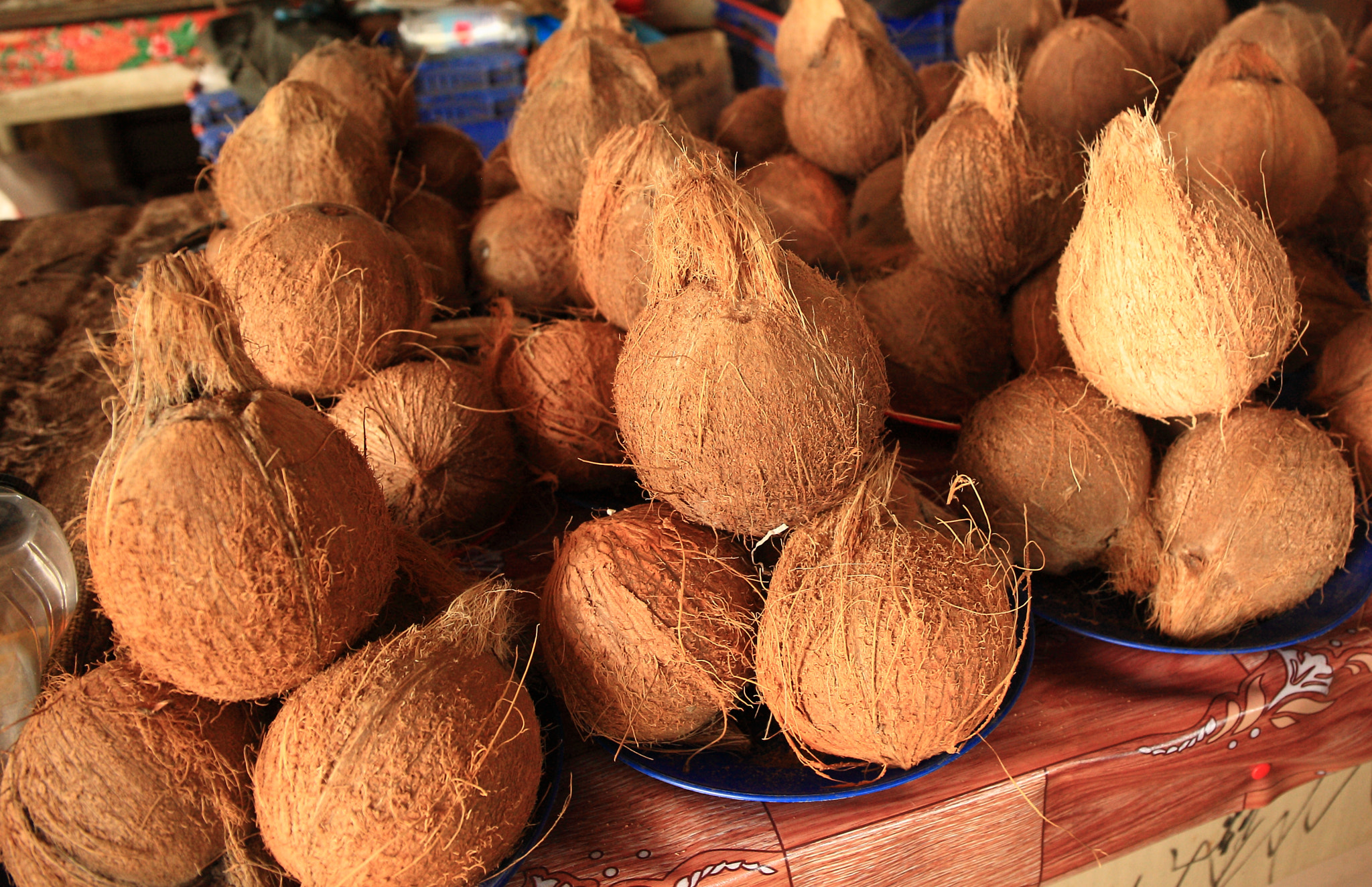 Canon EF 24-70mm F4L IS USM sample photo. Coconuts photography