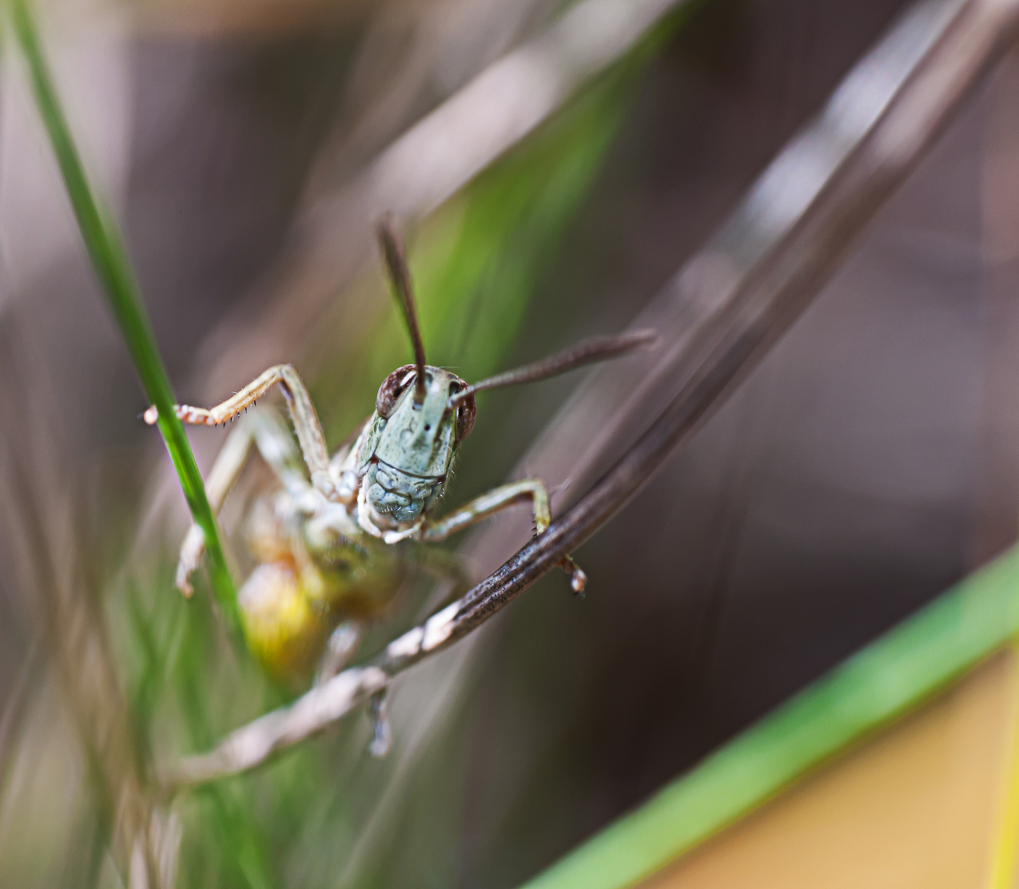 Nikon D300 sample photo. Hi photography