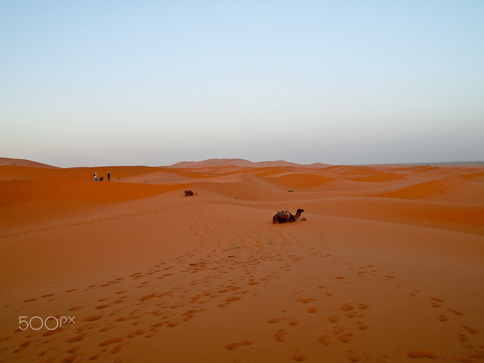 Olympus PEN E-P1 sample photo. Medieval morocco photography
