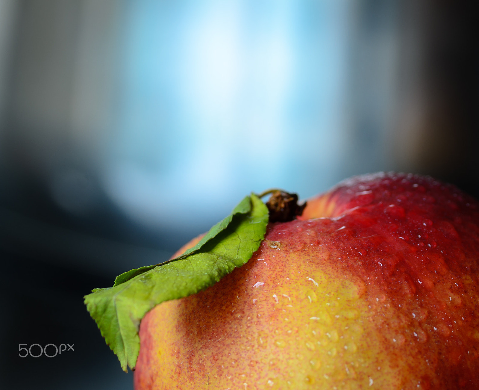 Nikon D7000 + Tamron SP 90mm F2.8 Di VC USD 1:1 Macro sample photo. Nectarine photography