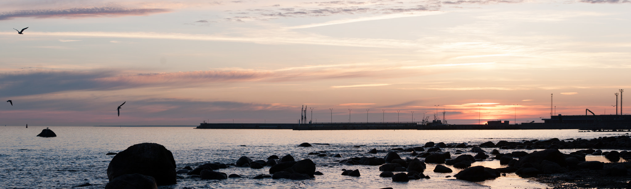 Canon EOS 40D sample photo. Tallinn photography