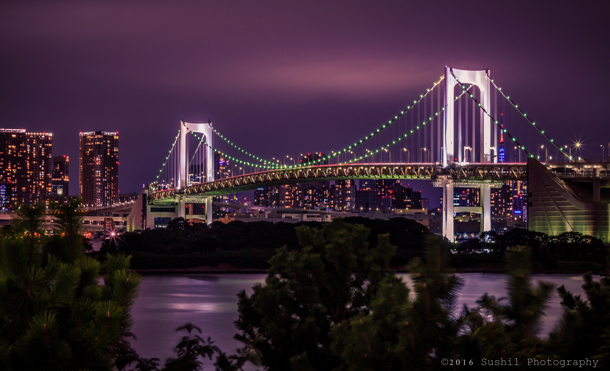 Canon EOS 700D (EOS Rebel T5i / EOS Kiss X7i) sample photo. Rainbow bridge, odaiba photography