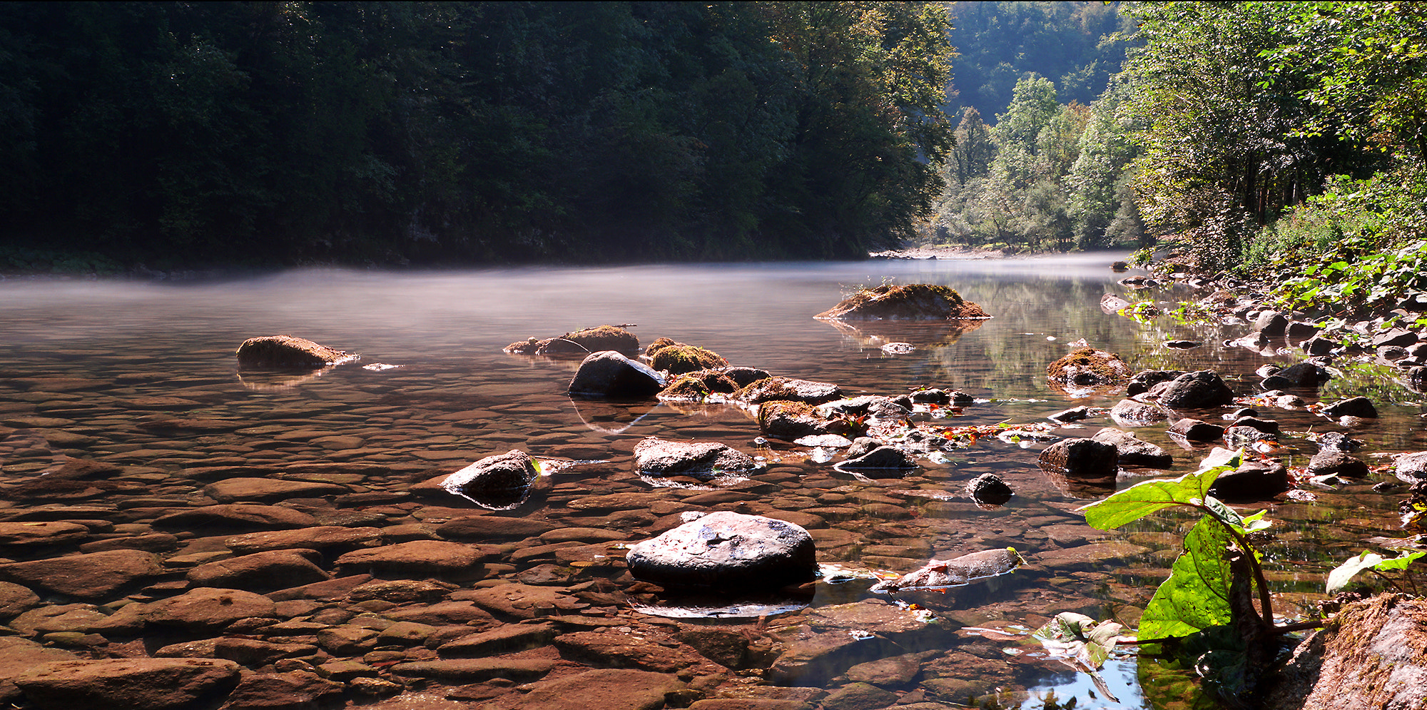 Sony SLT-A68 sample photo. Mystical mist photography