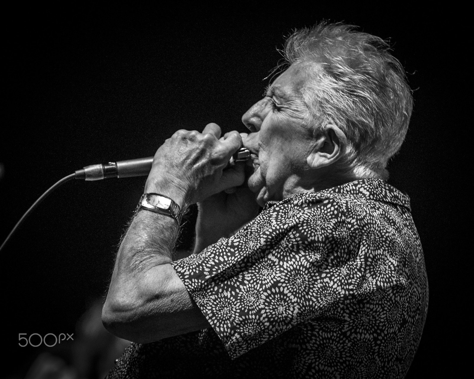 Sigma 70-200mm F2.8 EX DG OS HSM sample photo. John mayall photography