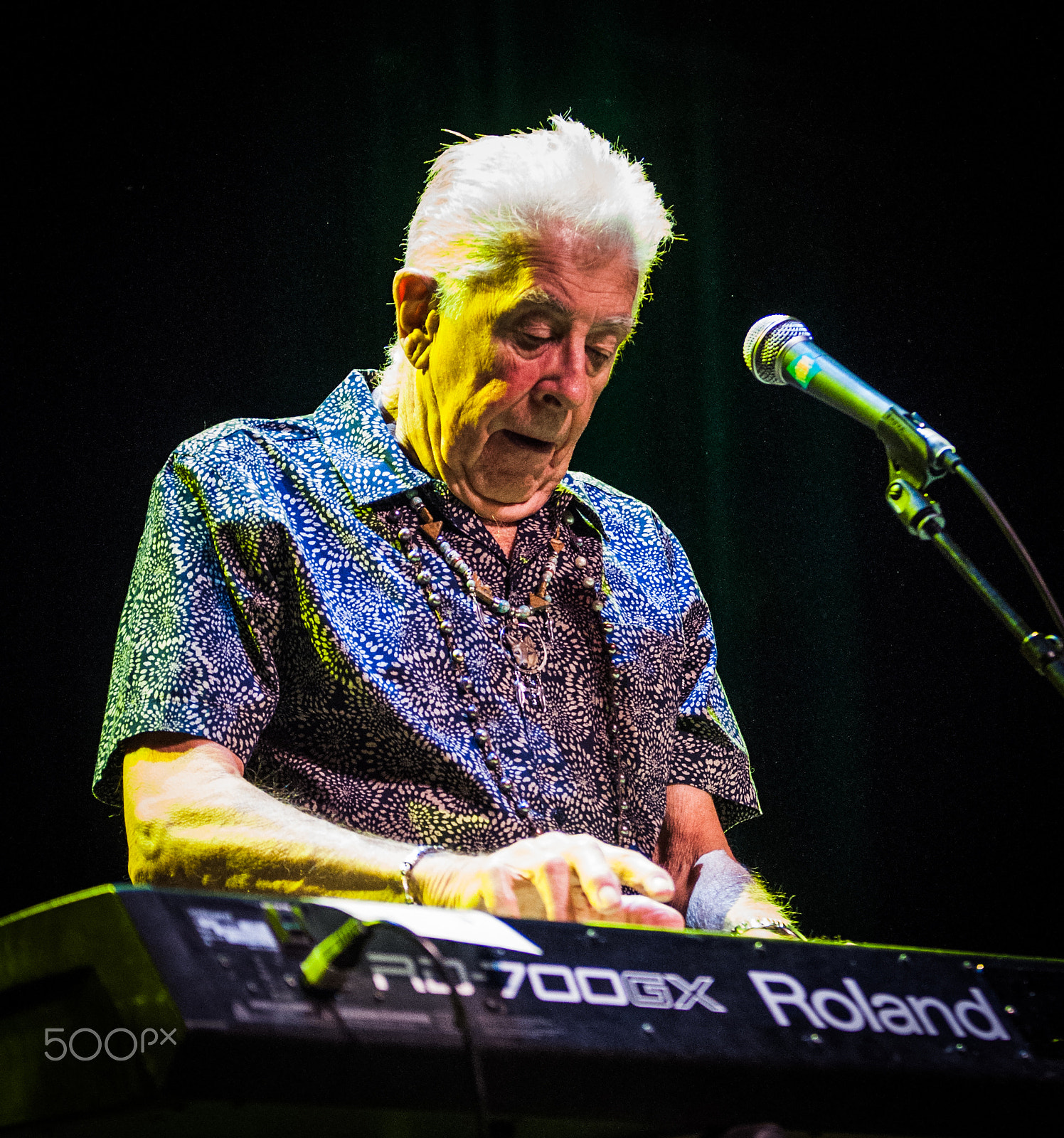 Sigma 70-200mm F2.8 EX DG OS HSM sample photo. John mayall photography