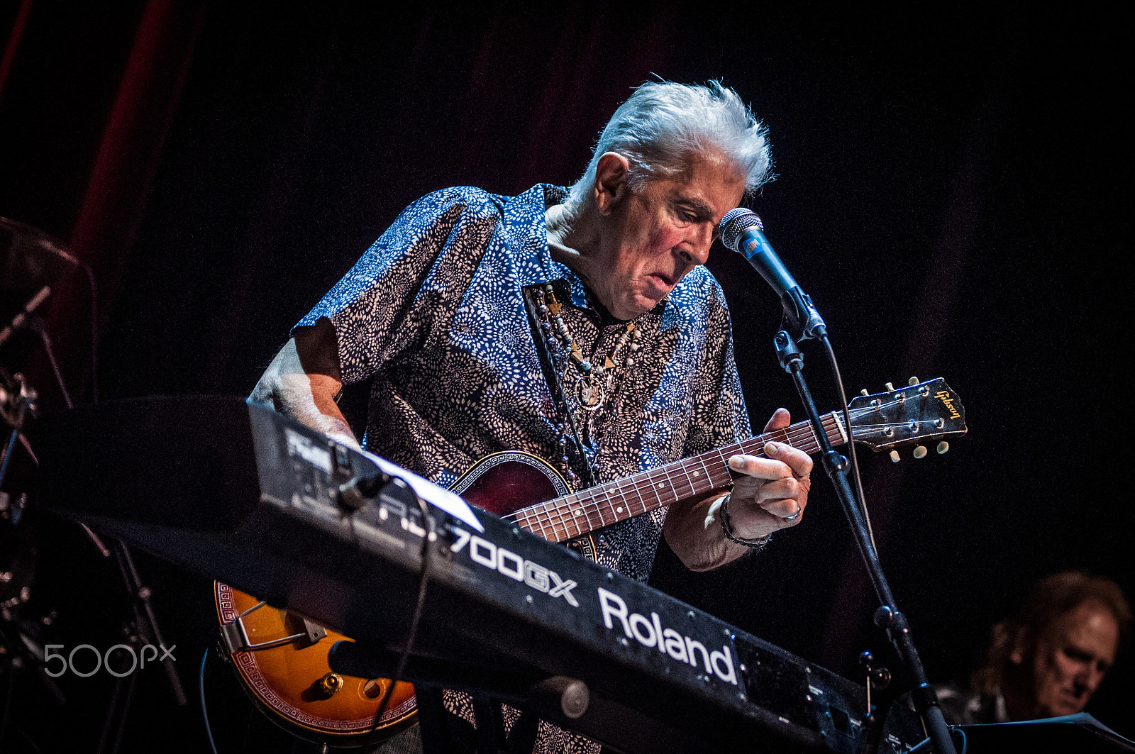 Sigma 70-200mm F2.8 EX DG OS HSM sample photo. John mayall photography