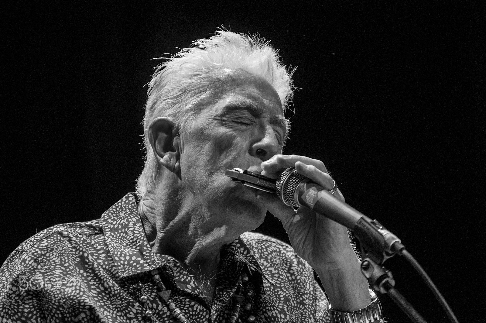 Sigma 70-200mm F2.8 EX DG OS HSM sample photo. John mayall photography
