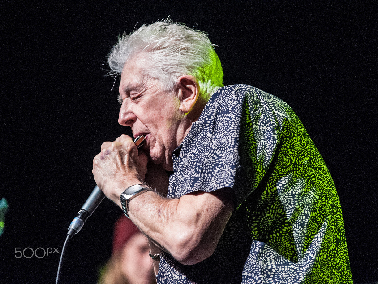 Sigma 70-200mm F2.8 EX DG OS HSM sample photo. John mayall photography