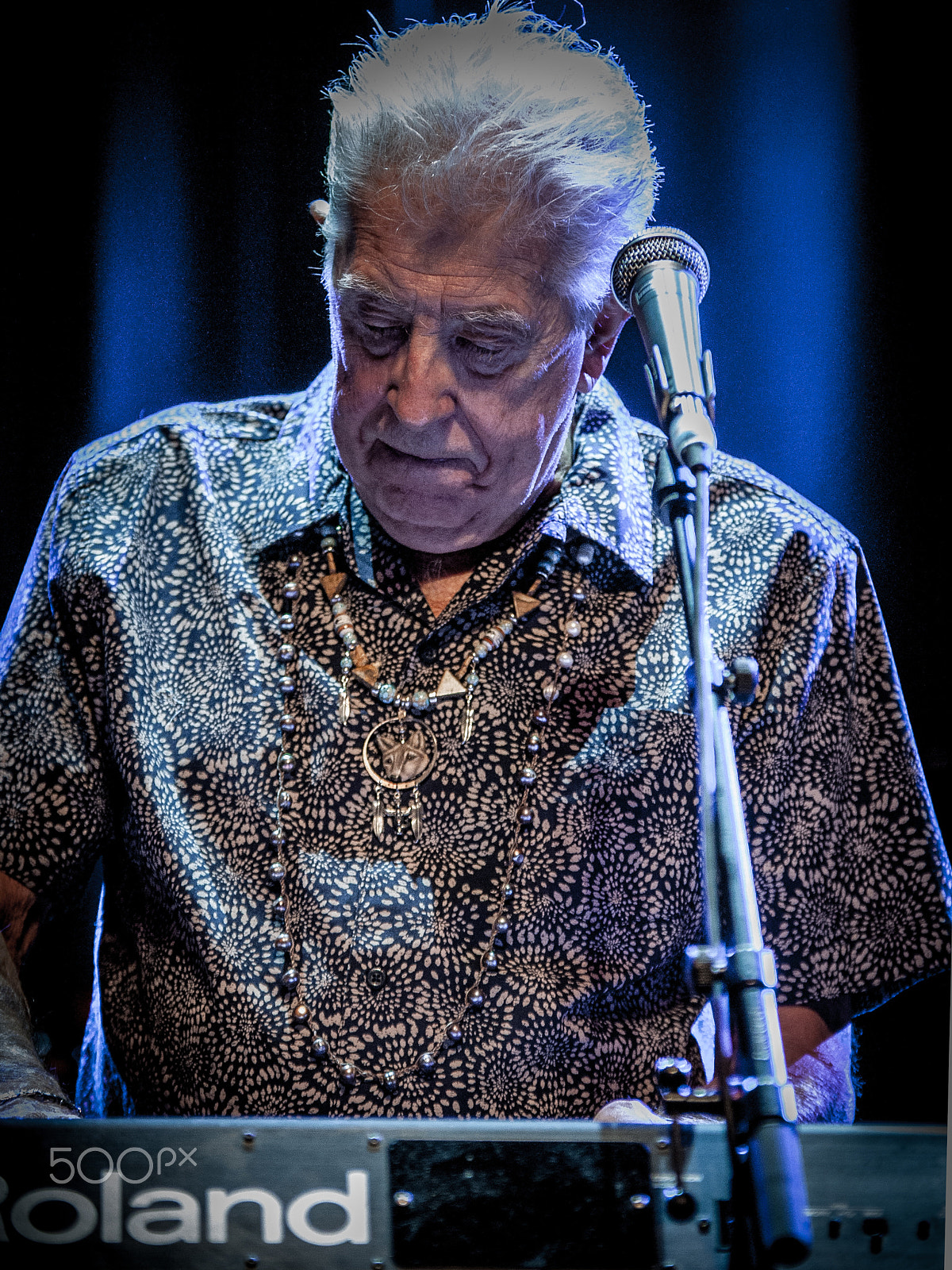 Sigma 70-200mm F2.8 EX DG OS HSM sample photo. John mayall photography