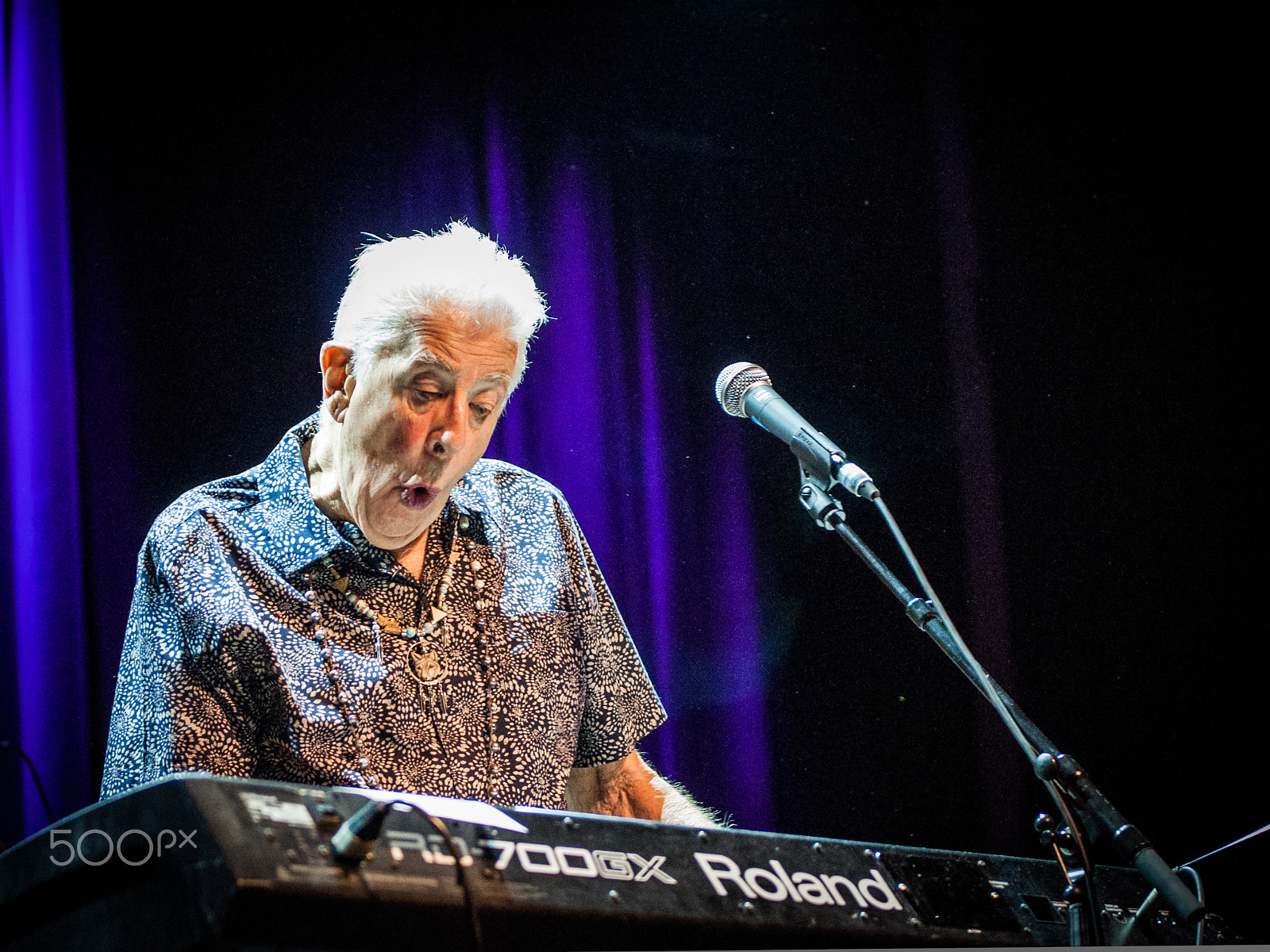 Sigma 70-200mm F2.8 EX DG OS HSM sample photo. John mayall photography