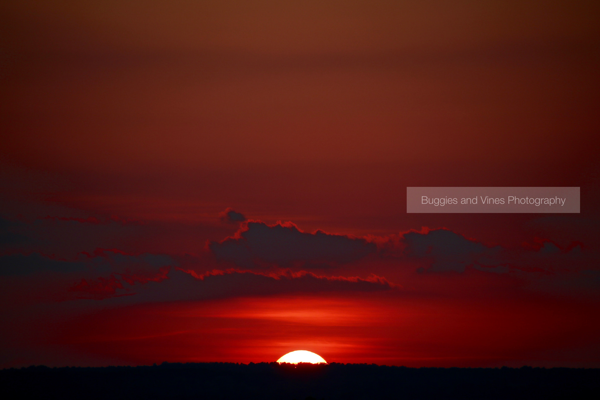 Sigma 18-250mm F3.5-6.3 DC OS HSM sample photo. Our falling star photography