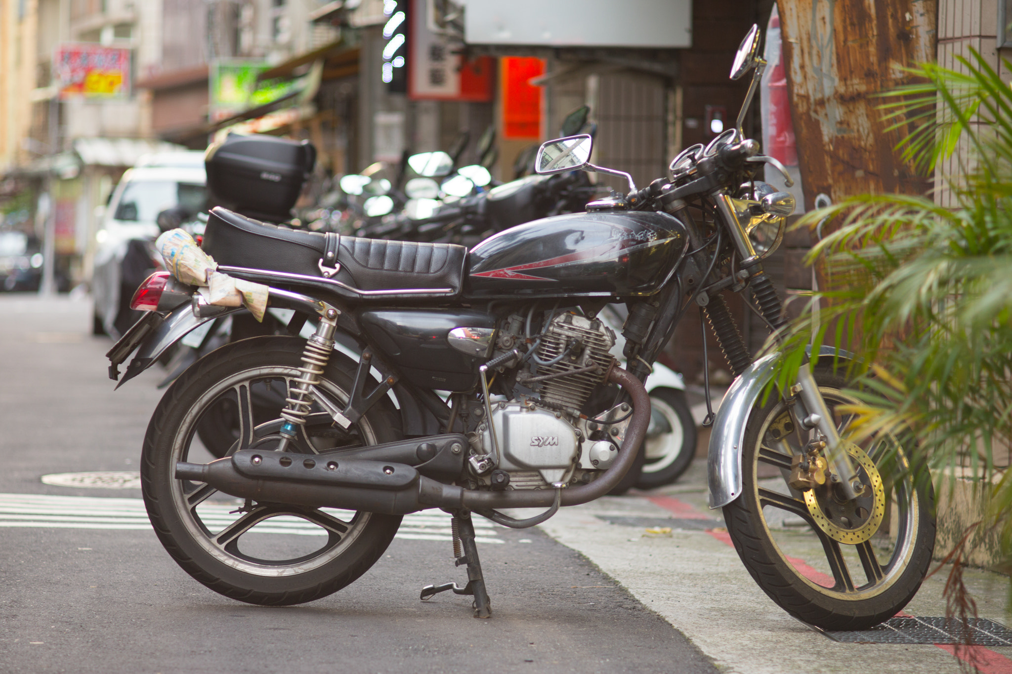 Canon EF 35-80mm f/4-5.6 sample photo. 野狼傳奇 r photography