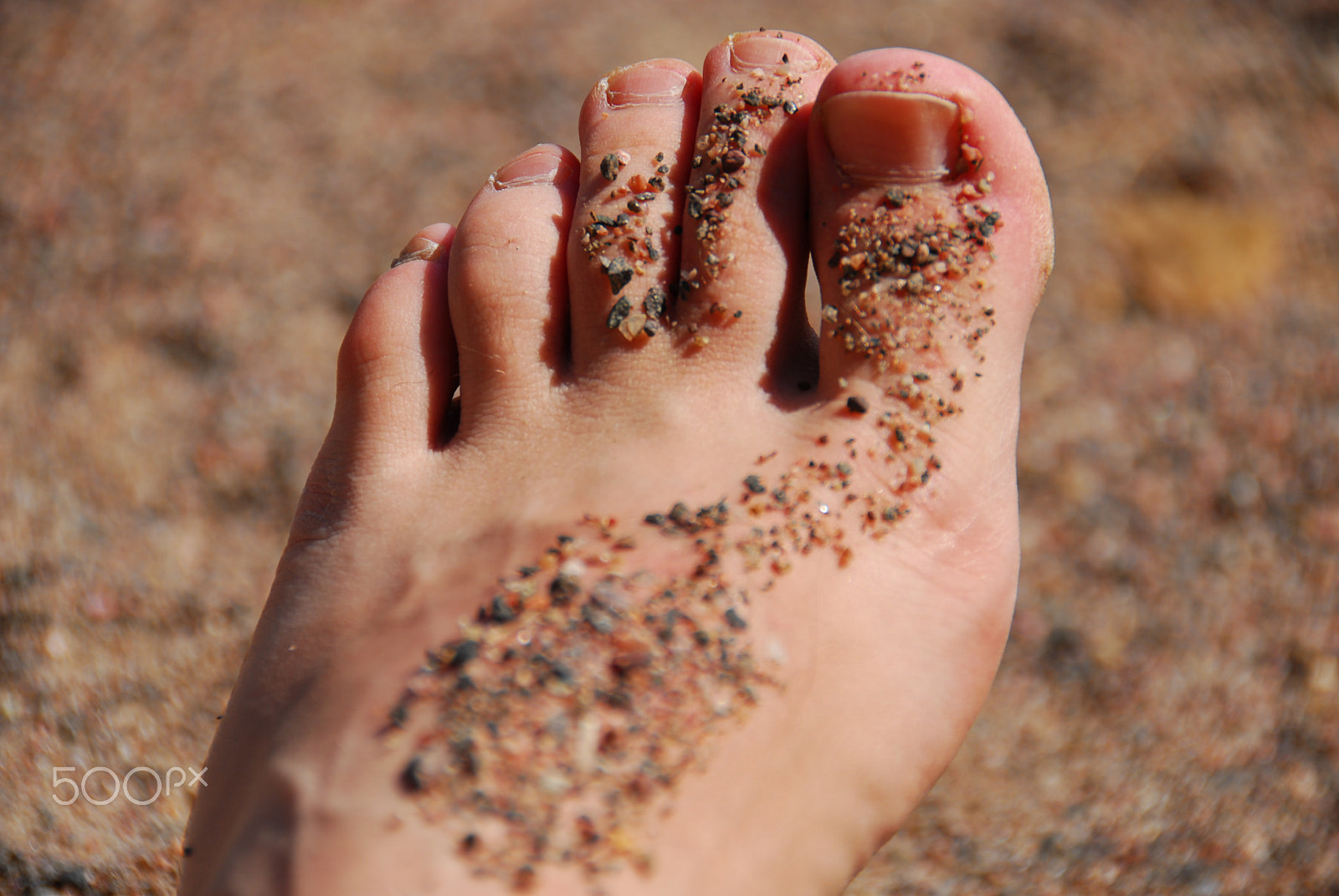 Nikon D200 sample photo. Feet in the sand photography