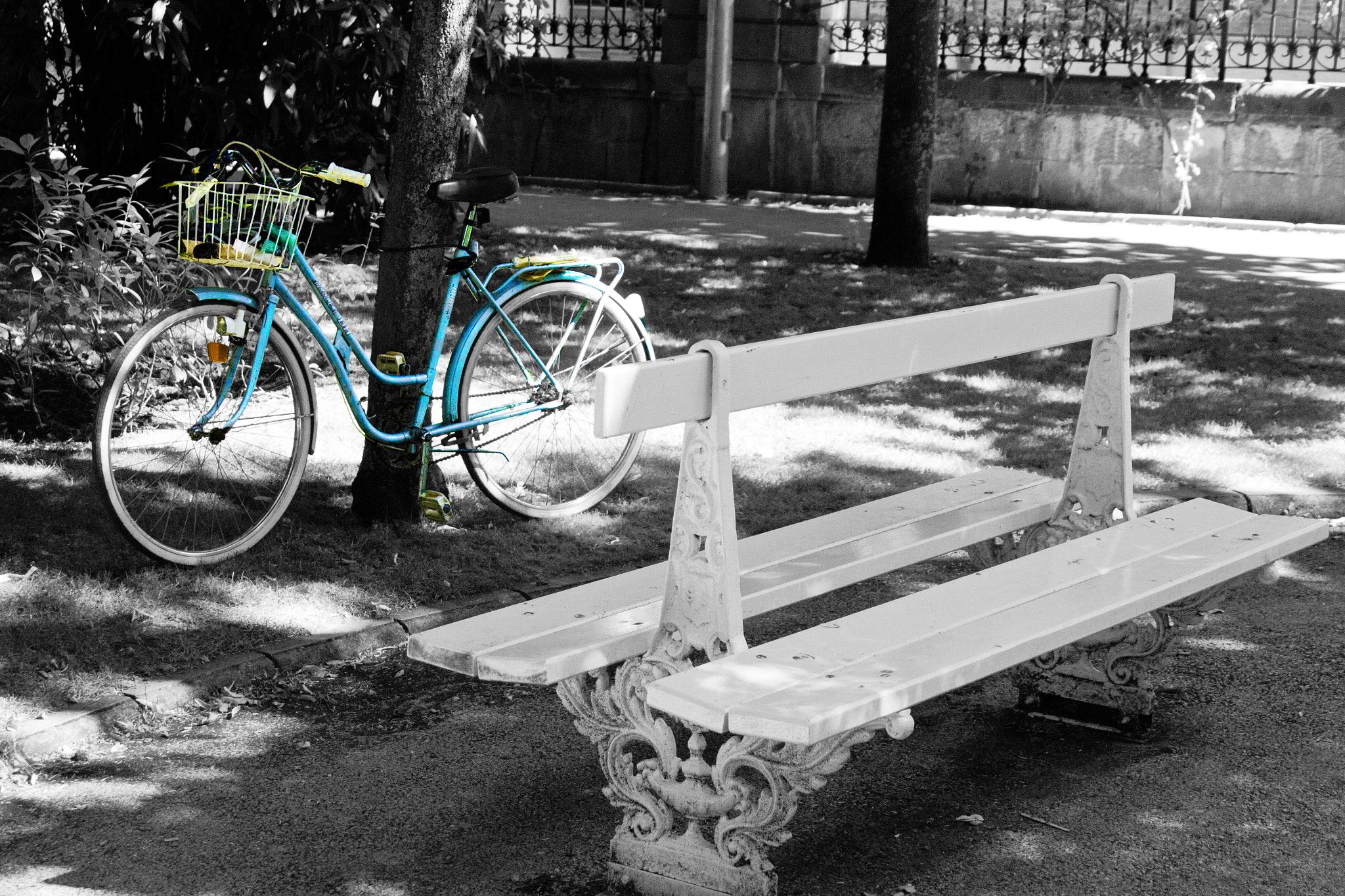 Canon EOS 500D (EOS Rebel T1i / EOS Kiss X3) sample photo. Mg photography