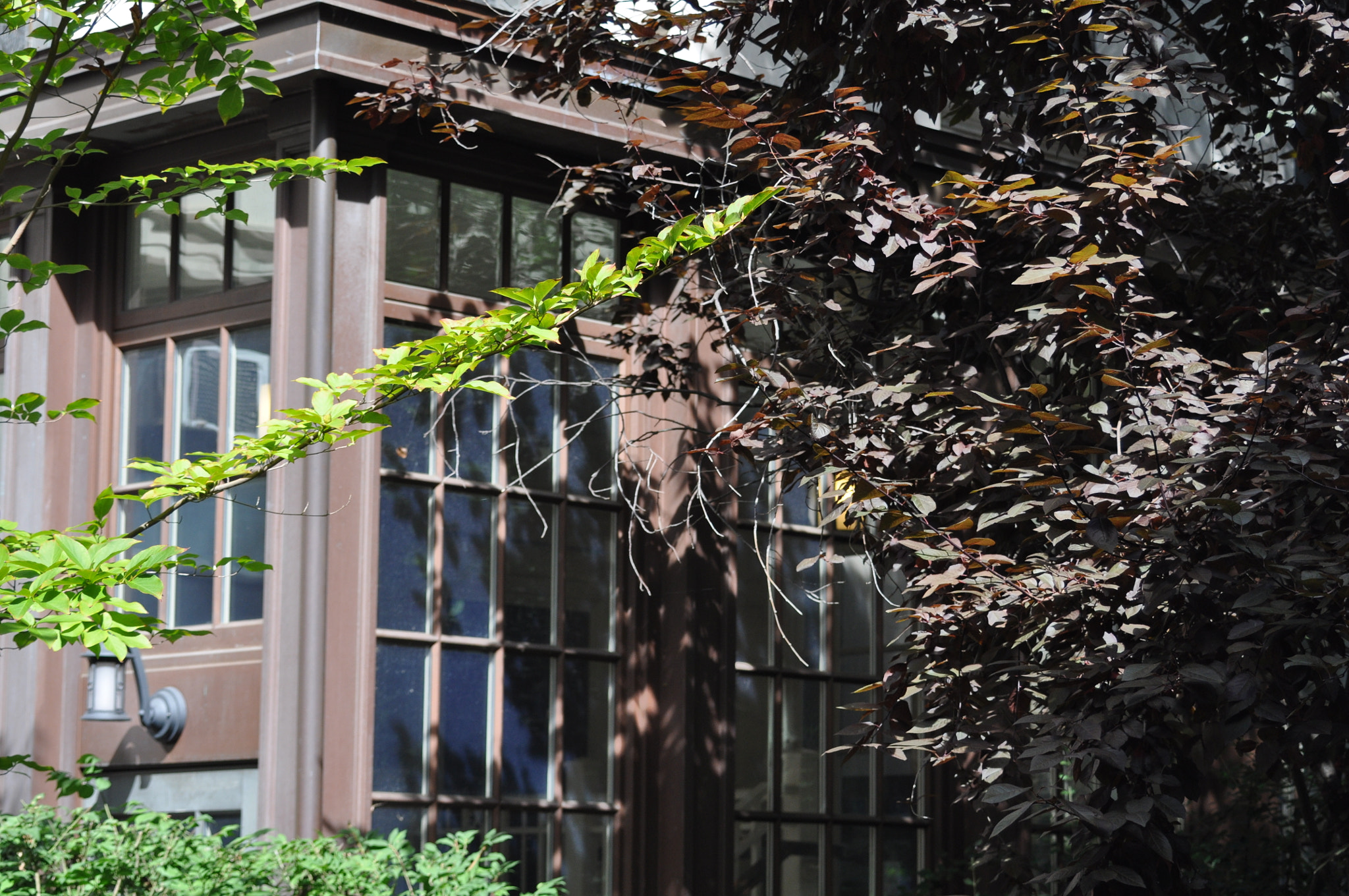 AF Zoom-Nikkor 35-80mm f/4-5.6D sample photo. Yale house photography