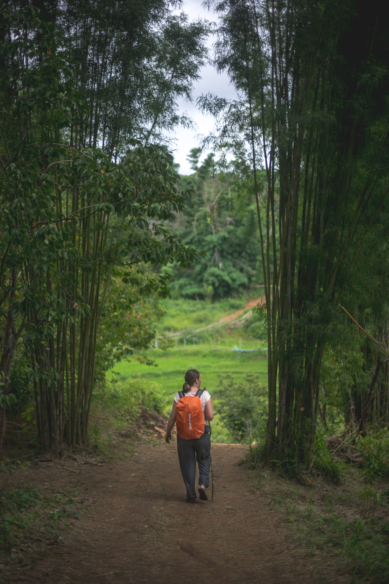 Sony a7 II + Canon EF 50mm F1.4 USM sample photo. Hagiti the explorer photography