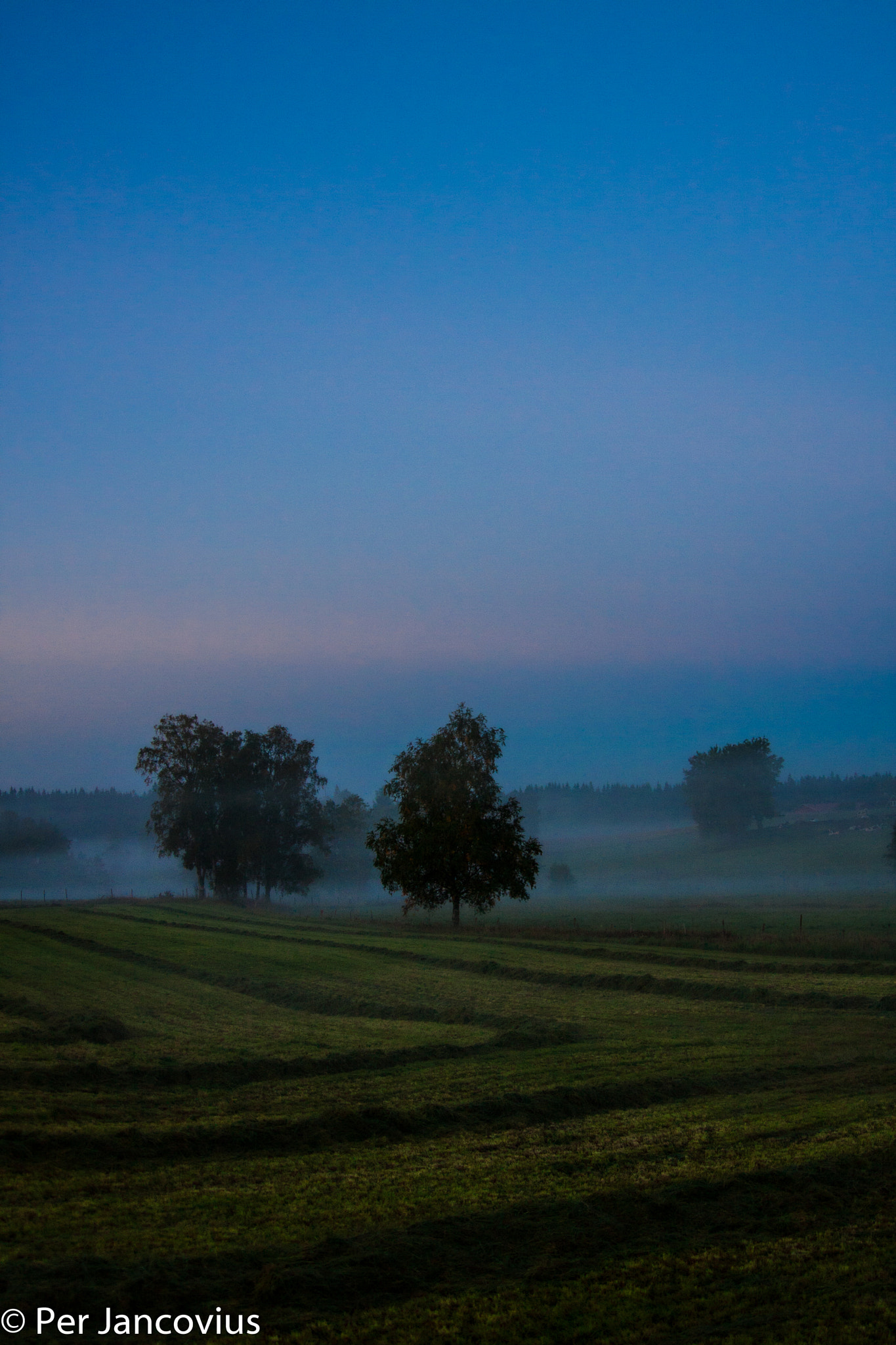 Canon EOS 40D sample photo. Misty fields photography