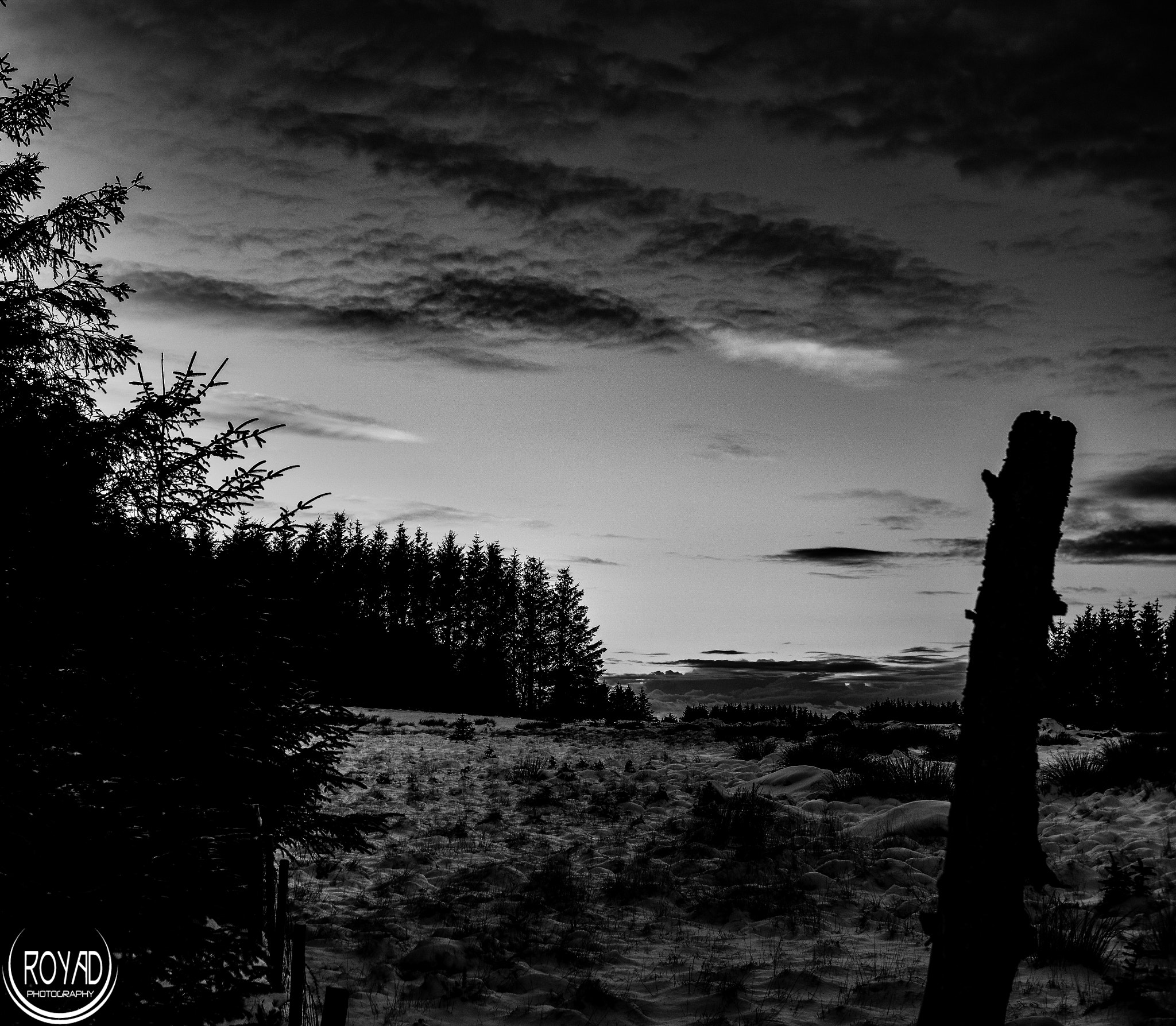 Sigma 30mm F1.4 EX DC HSM sample photo. Vinter photography