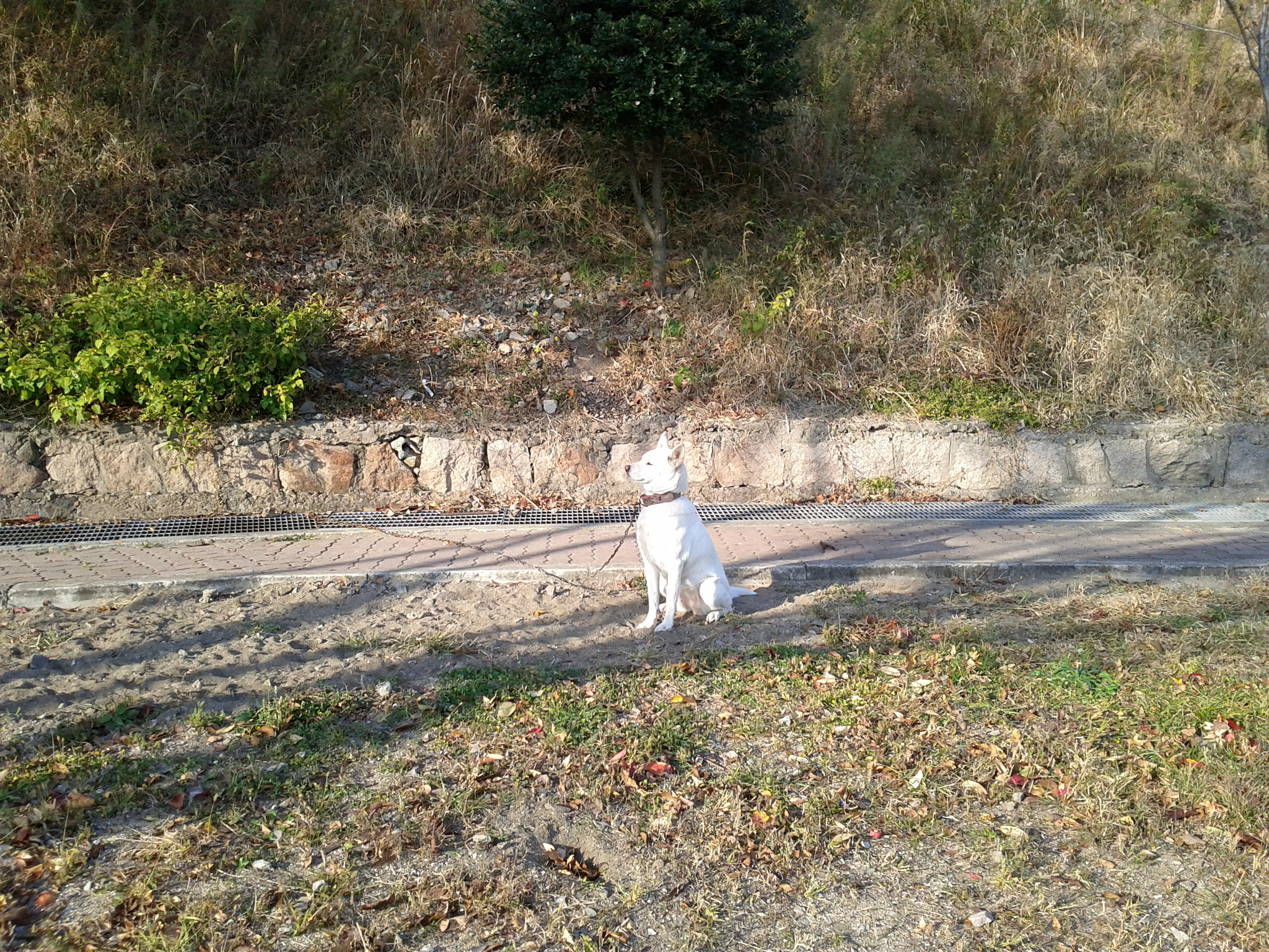 Google Nexus S sample photo. Img_20131119_151640.jpg photography