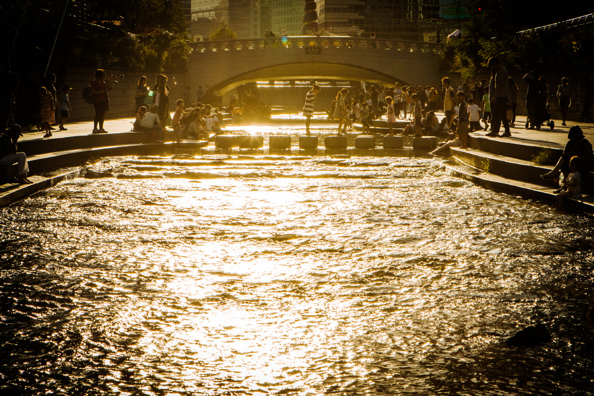 Canon EOS-1D Mark III sample photo. 광화문 a photography