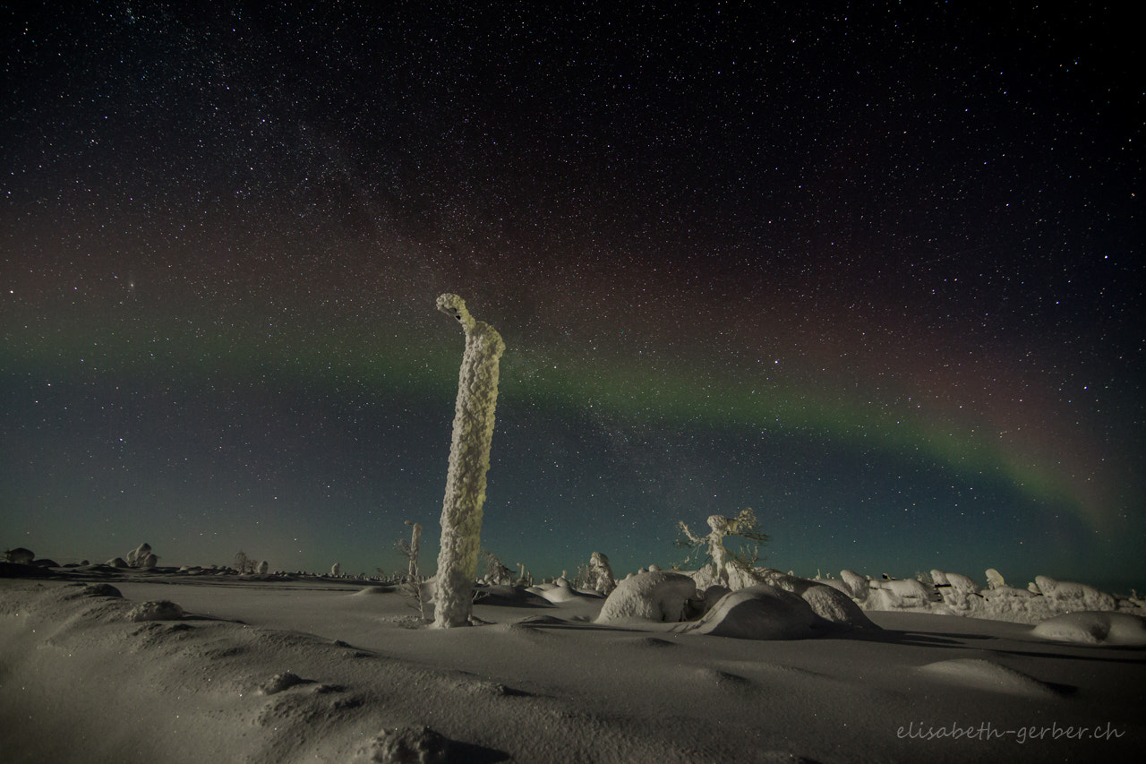 Canon EF 14mm F2.8L II USM sample photo. Polar angel photography