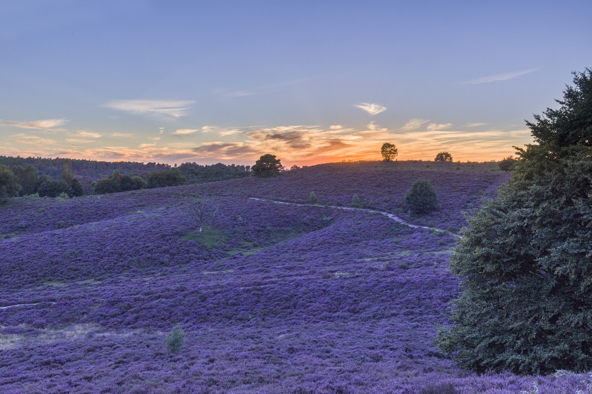 Canon EOS 5DS + Canon EF 16-35mm F4L IS USM sample photo. An evening at posbank photography