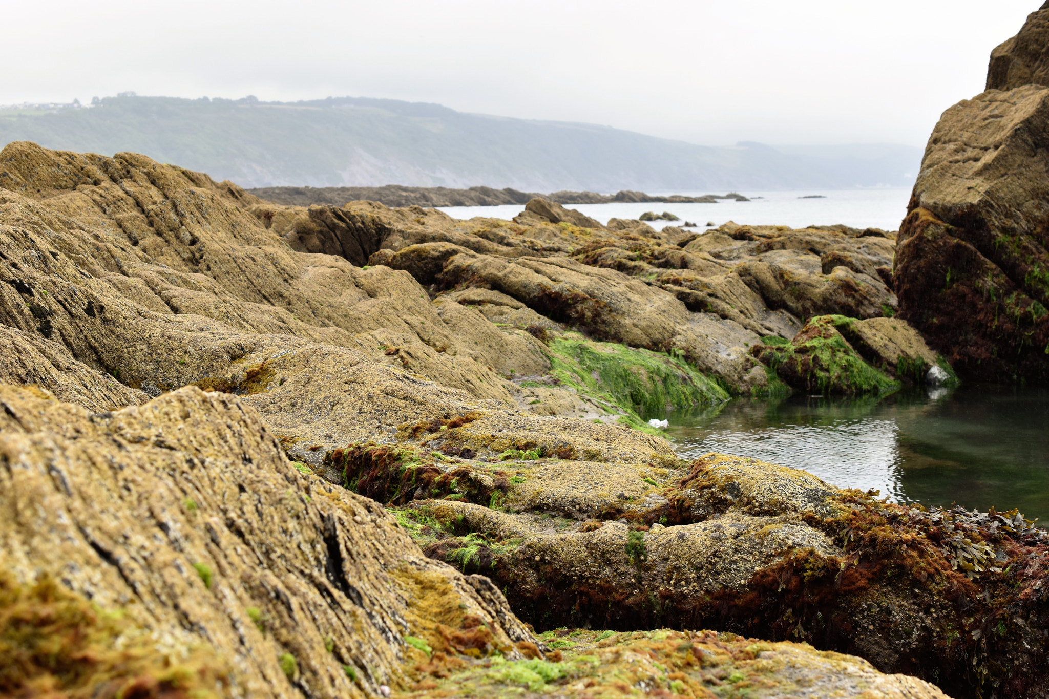 Nikon AF-S DX Micro Nikkor 40mm F2.8 sample photo. Looe beach photography