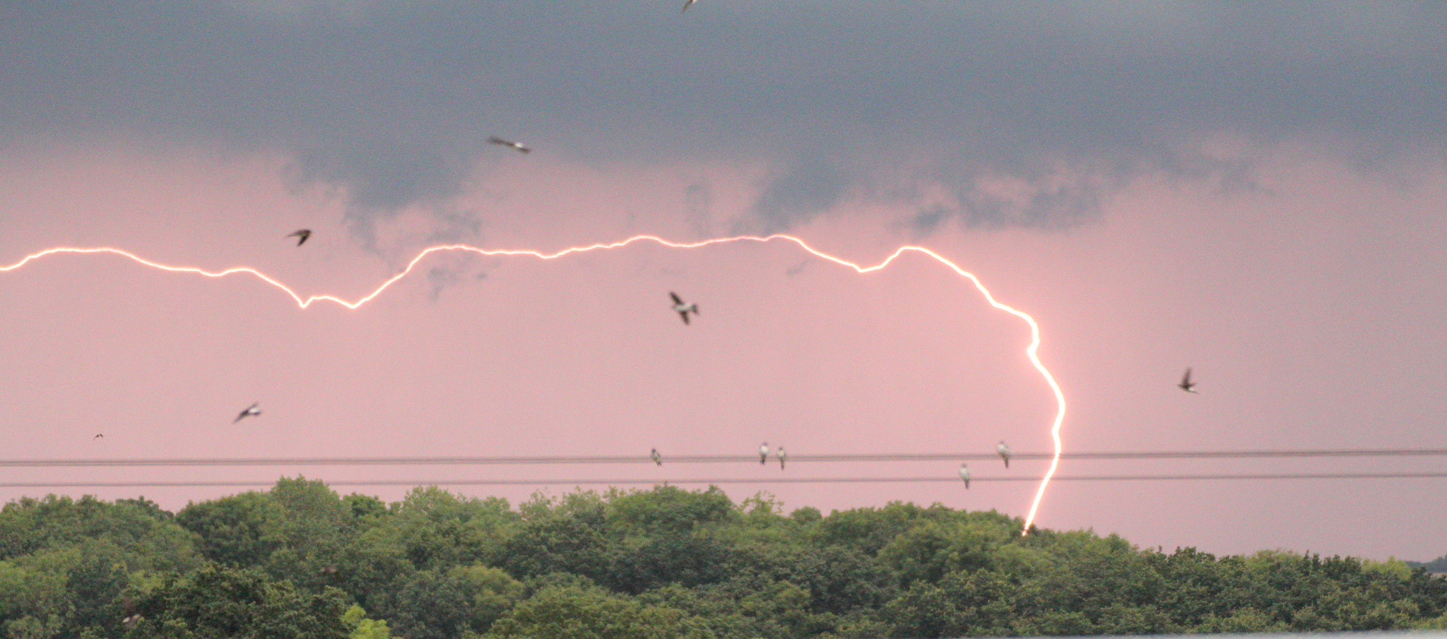 Canon EOS 600D (Rebel EOS T3i / EOS Kiss X5) + Canon 70-300mm sample photo. Bit stormy in uk today photography