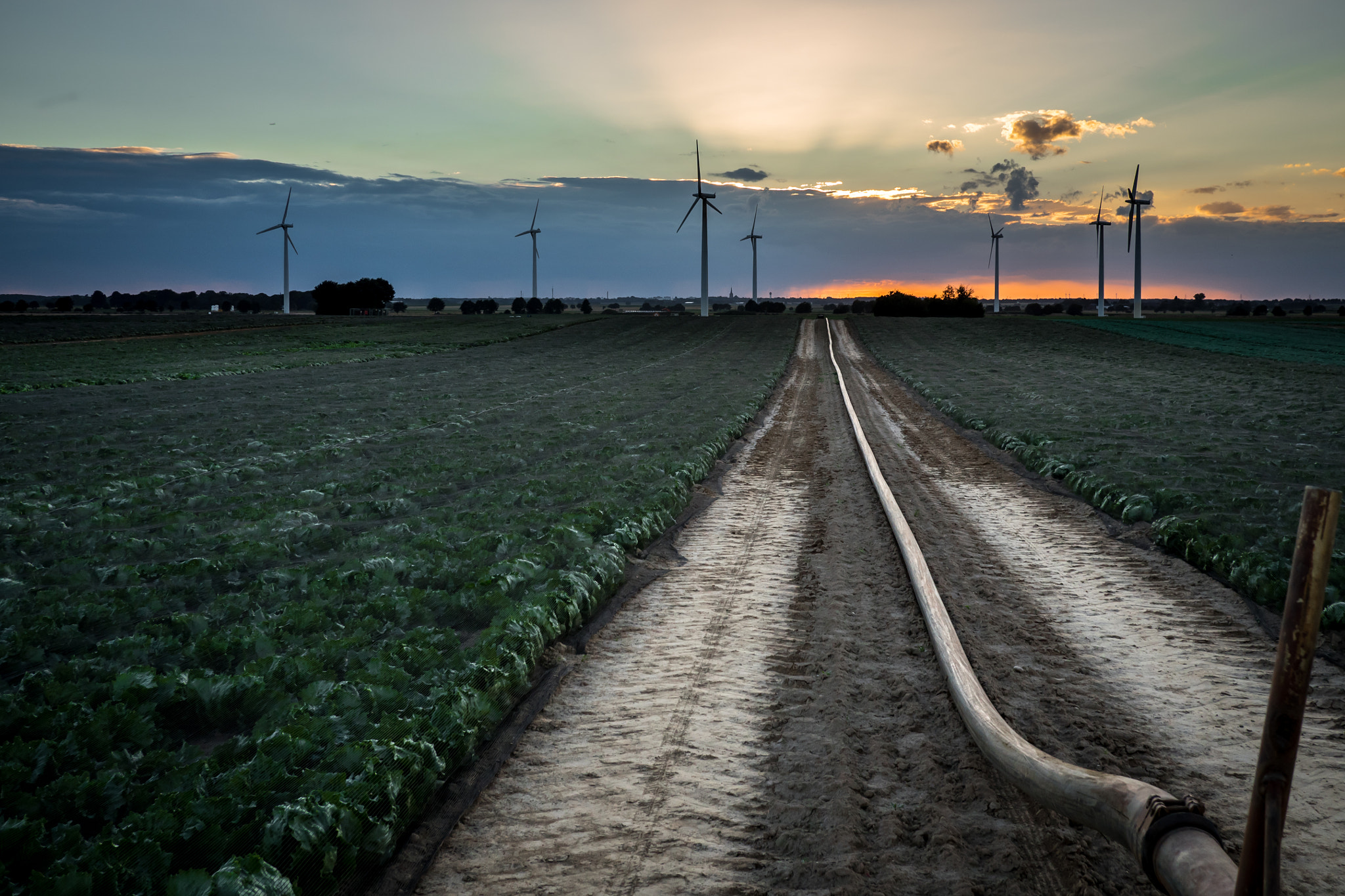 Olympus OM-D E-M5 II + Panasonic Lumix G 20mm F1.7 ASPH sample photo. Road to windmills photography