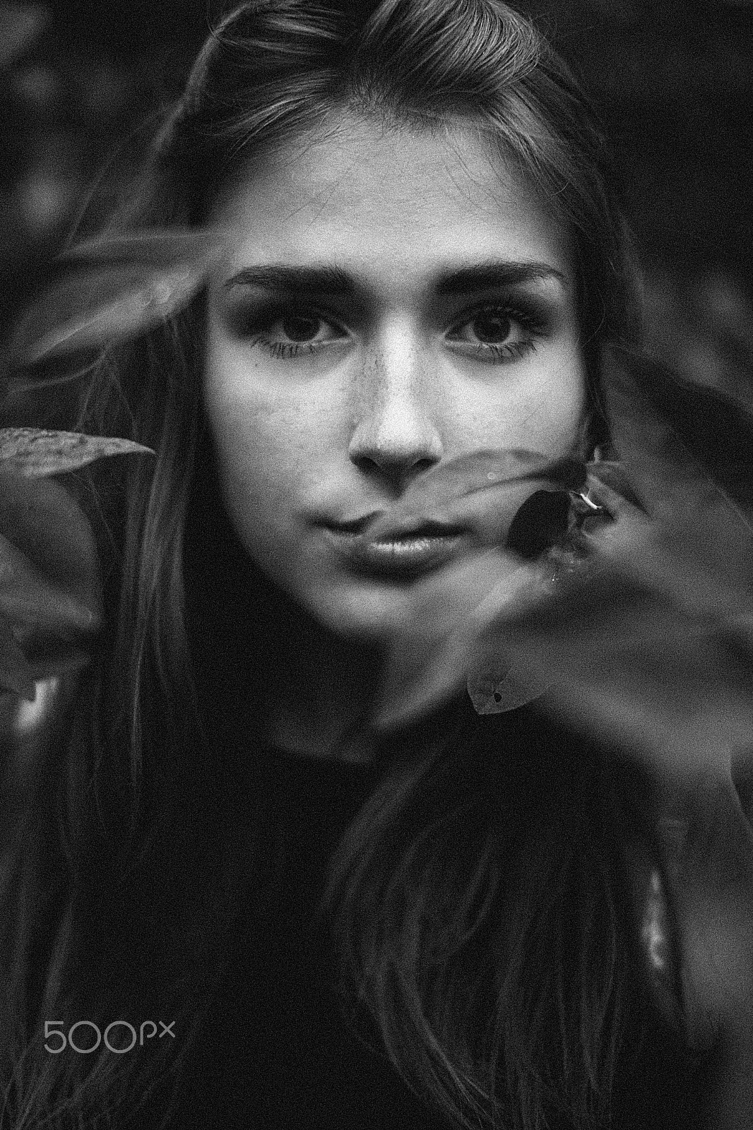 Sigma 50mm F1.4 EX DG HSM sample photo. Bw photography