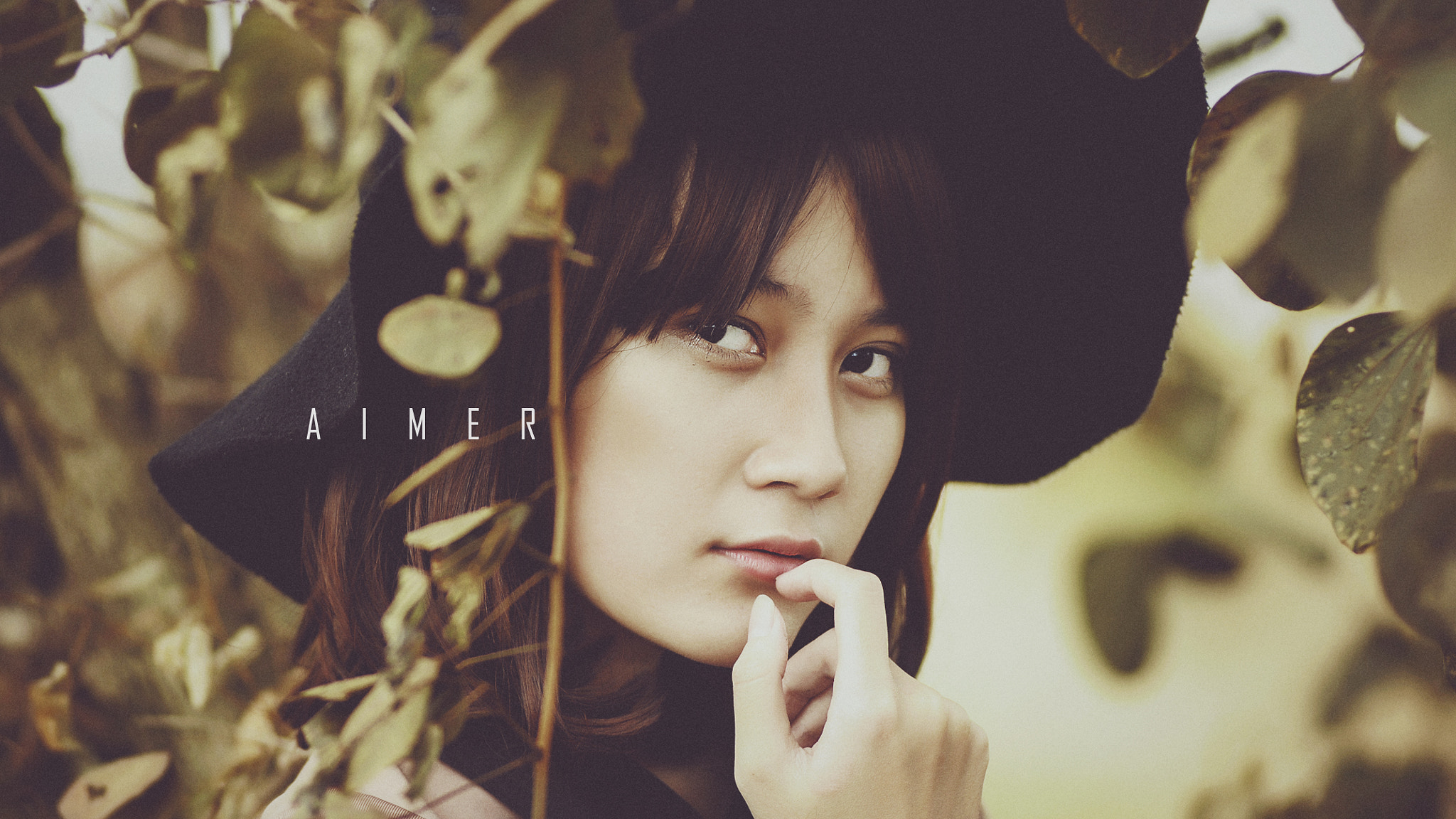 Nikon AF-Nikkor 80-200mm F2.8D ED sample photo. Aimer photography