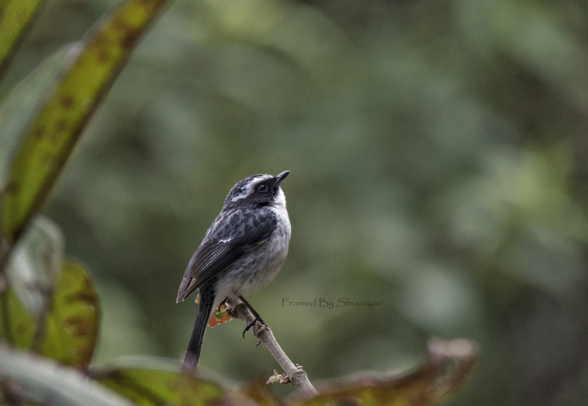 Sigma 150-500mm F5-6.3 DG OS HSM sample photo