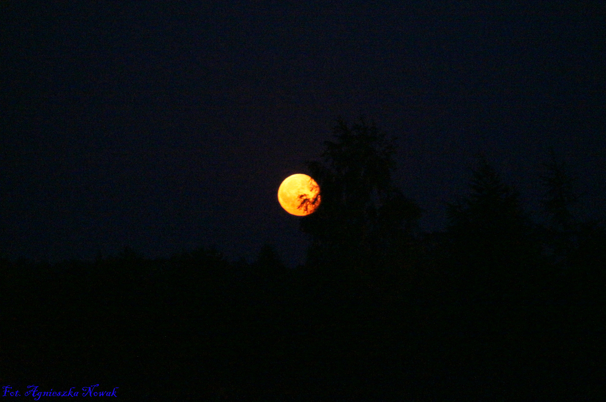Sony SLT-A35 sample photo. Moonlight photography