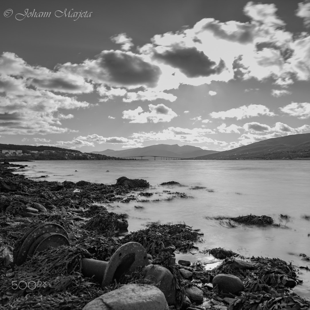 Tamron SP 15-30mm F2.8 Di VC USD sample photo. Monochromatic beach trash photography