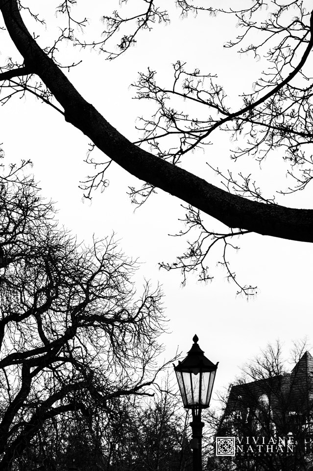 Canon EOS 550D (EOS Rebel T2i / EOS Kiss X4) sample photo. Berlin photography