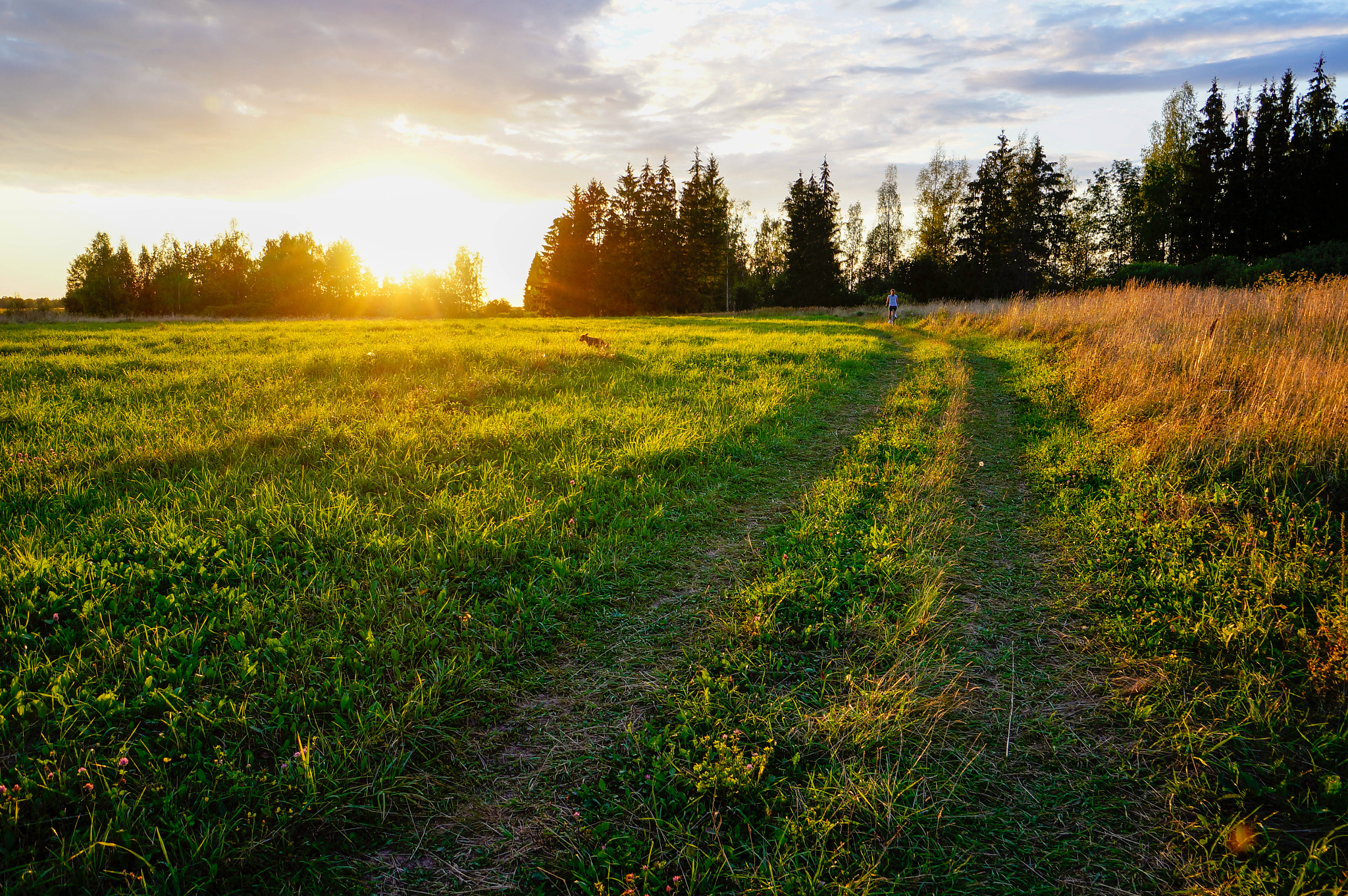 Sony Alpha NEX-5N + Sony E 10-18mm F4 OSS sample photo. * photography