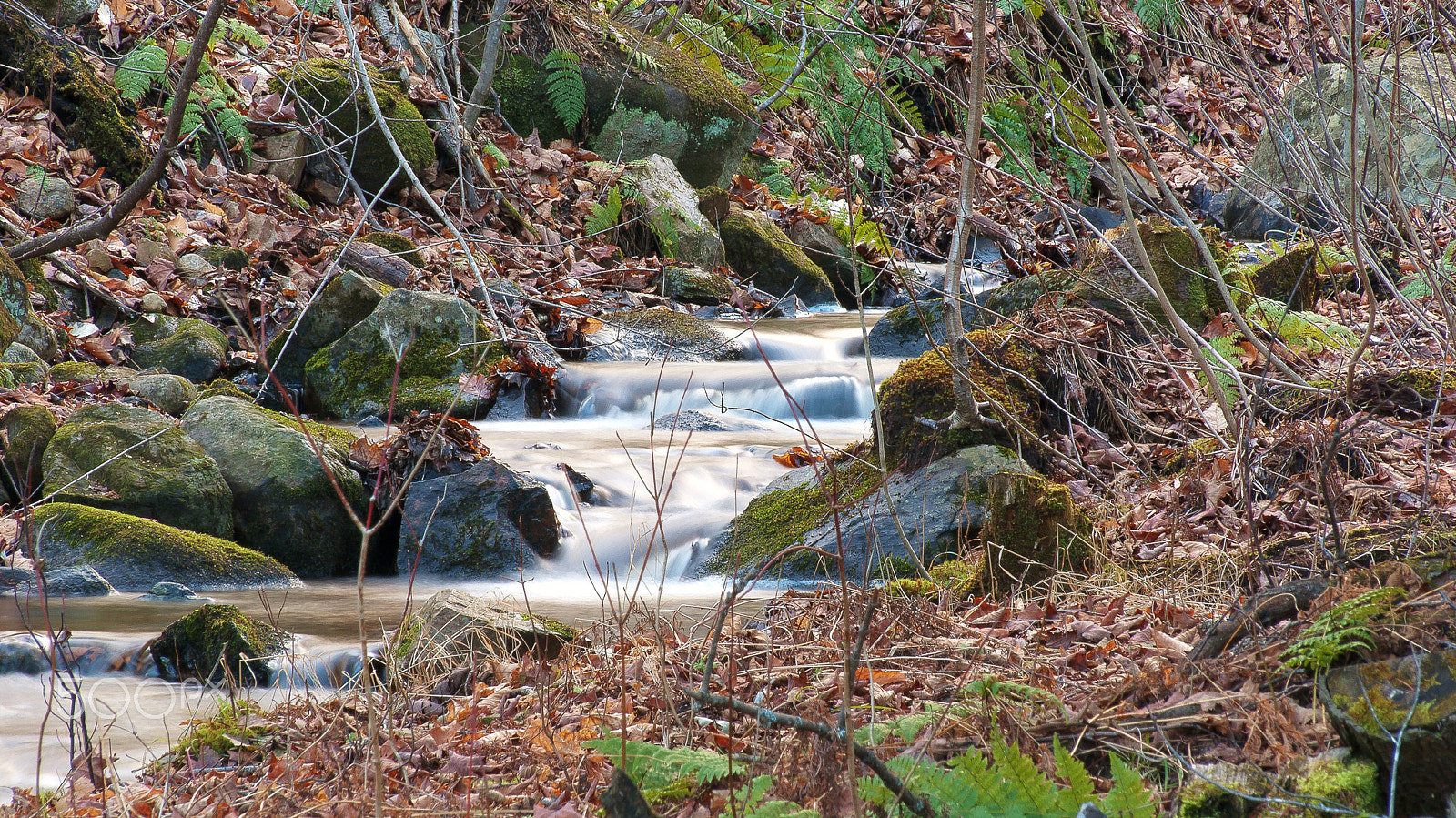 Sony Alpha DSLR-A330 sample photo. Petite rivière photography