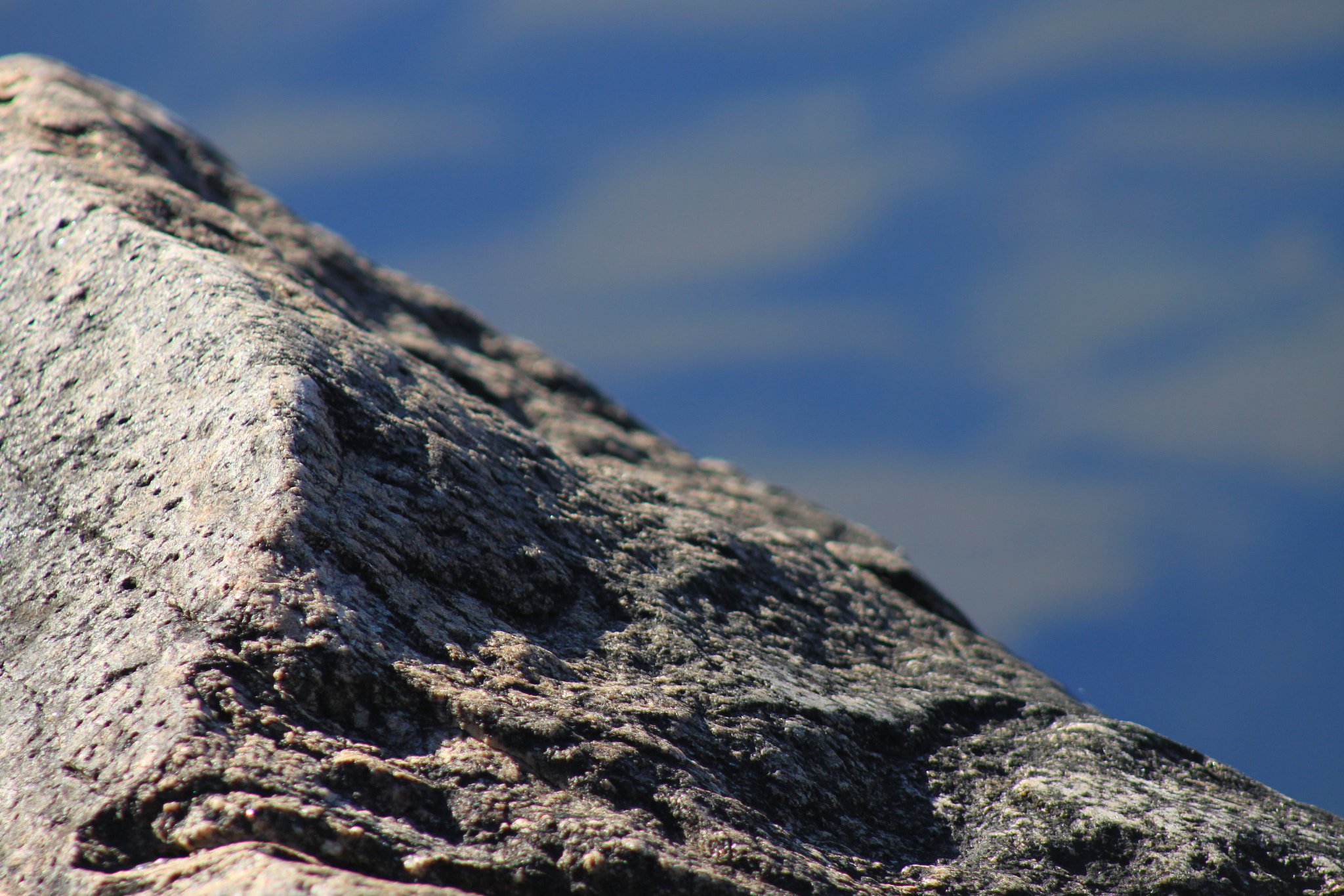 Canon EF 75-300mm f/4-5.6 USM sample photo. Img photography