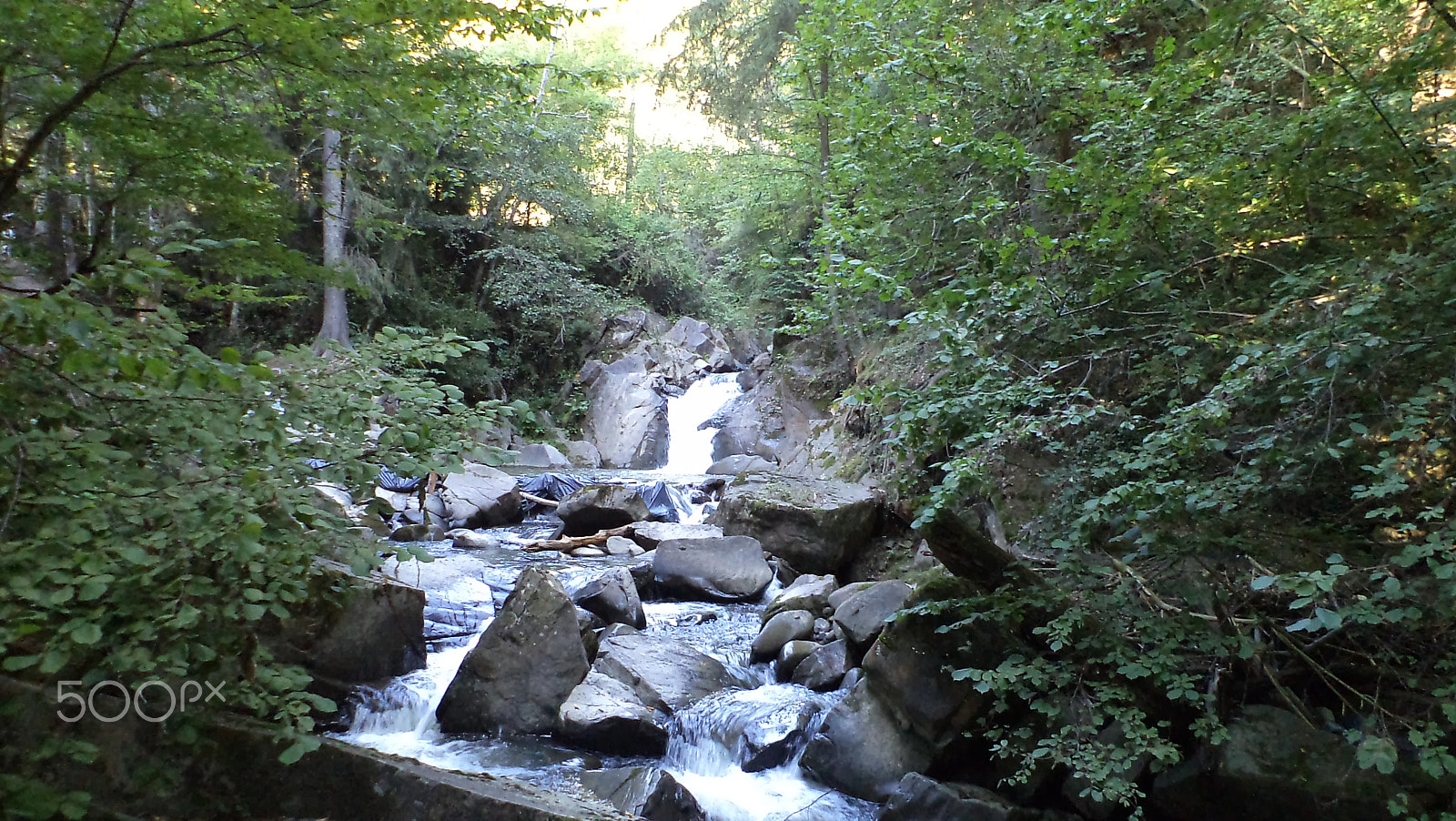 Sony DSC-S3000 sample photo. In the forest waterfall photography