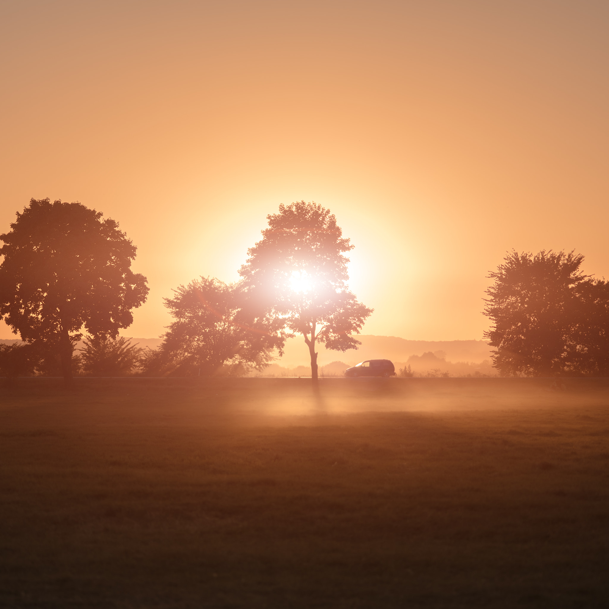 Nikon D750 + AF Micro-Nikkor 105mm f/2.8 sample photo. Sunset in the fog photography