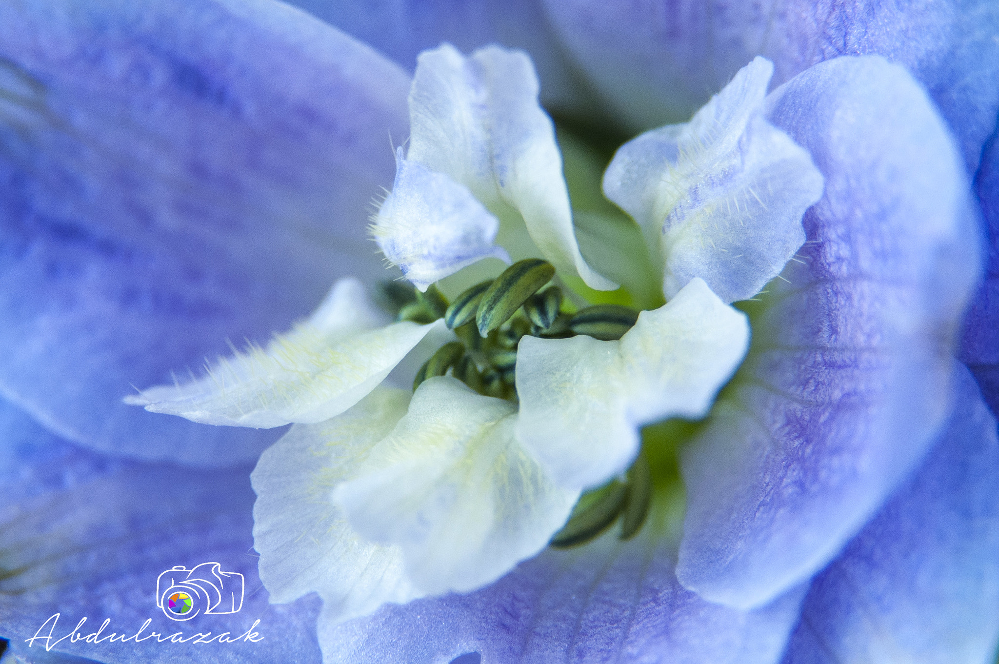 Sigma 105mm F2.8 EX DG OS HSM sample photo. Dsc photography