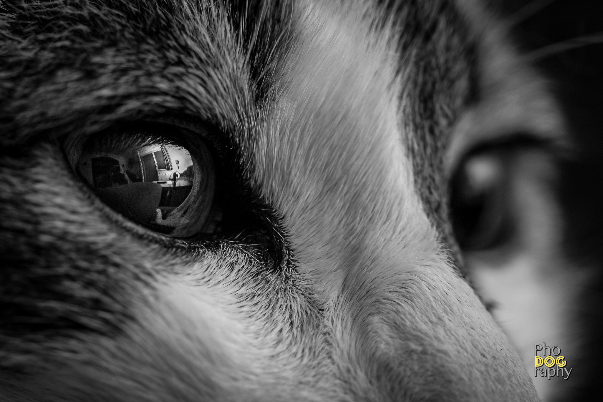 Sigma 105mm F2.8 EX DG OS HSM sample photo. Mirror eyes photography