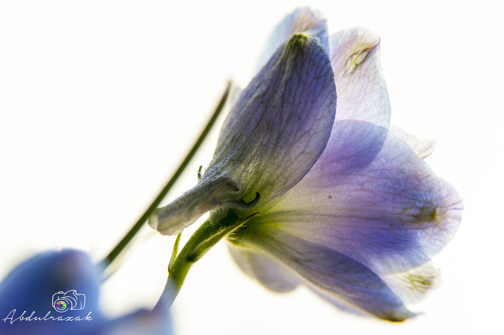 Sigma 105mm F2.8 EX DG OS HSM sample photo. Dsc photography