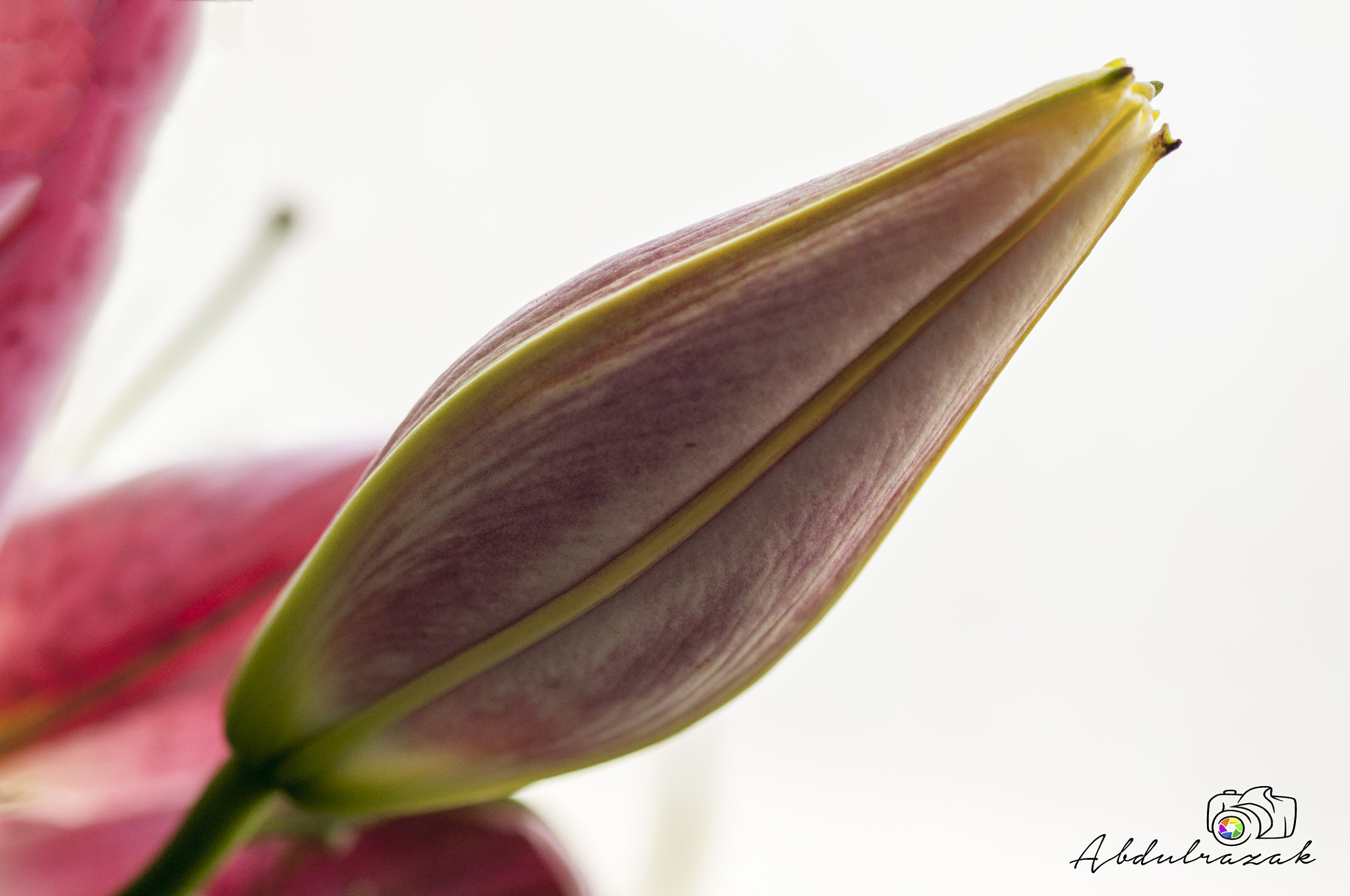 Sigma 105mm F2.8 EX DG OS HSM sample photo. Dsc photography